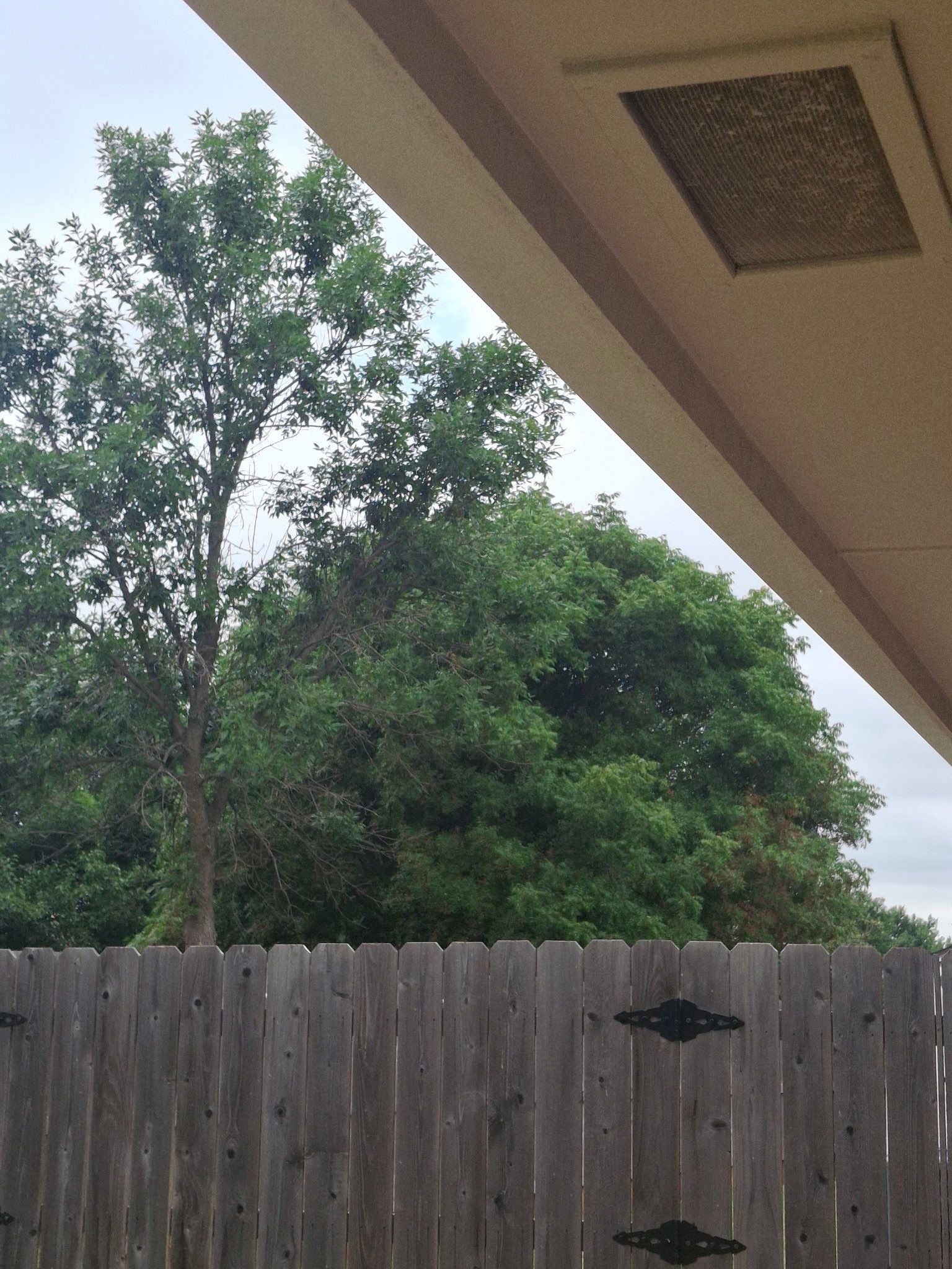 window, door, & gutter installation in Stillwater by McCann's Roofing and Construction