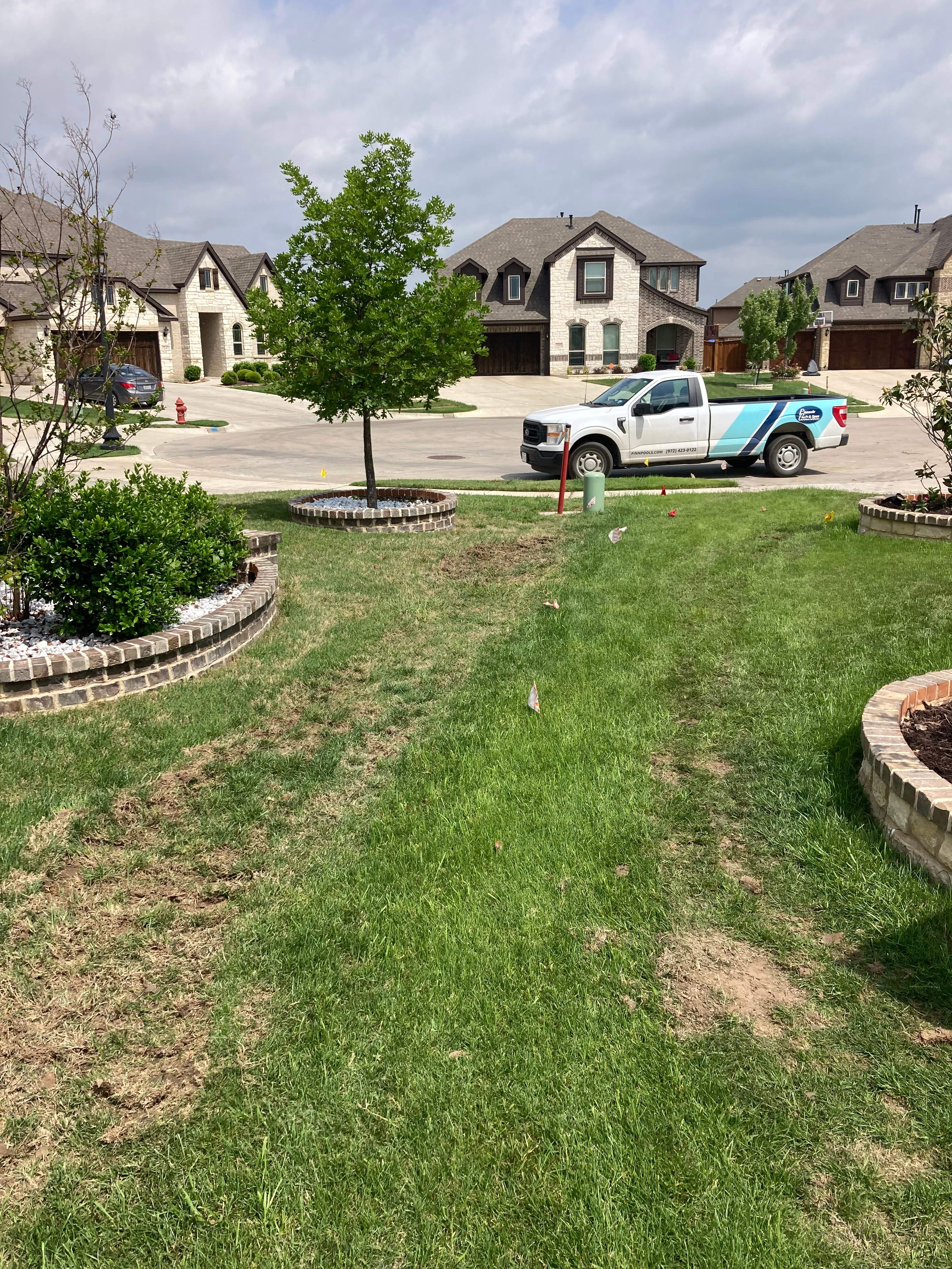 Freeform Pool with Tanning Ledge by Pinnacle Pools and Spas - DFW