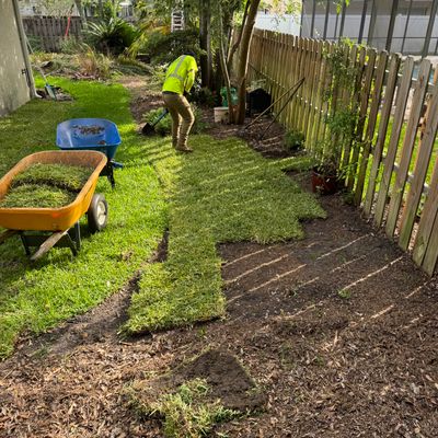 Deerwood Resident | Tree Trimming & Sod Install