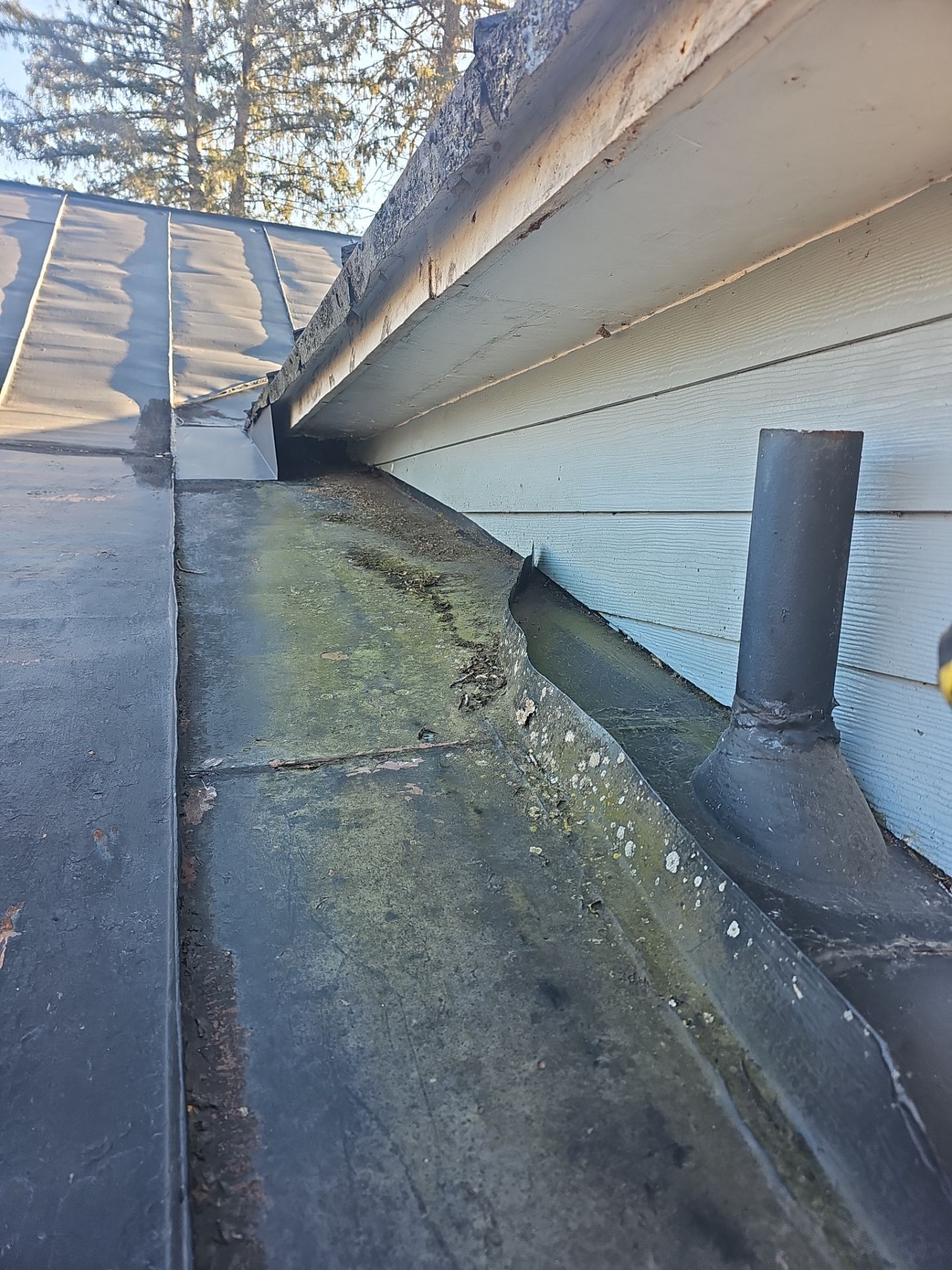 Metal Roof Replacement by Winchester Roofing