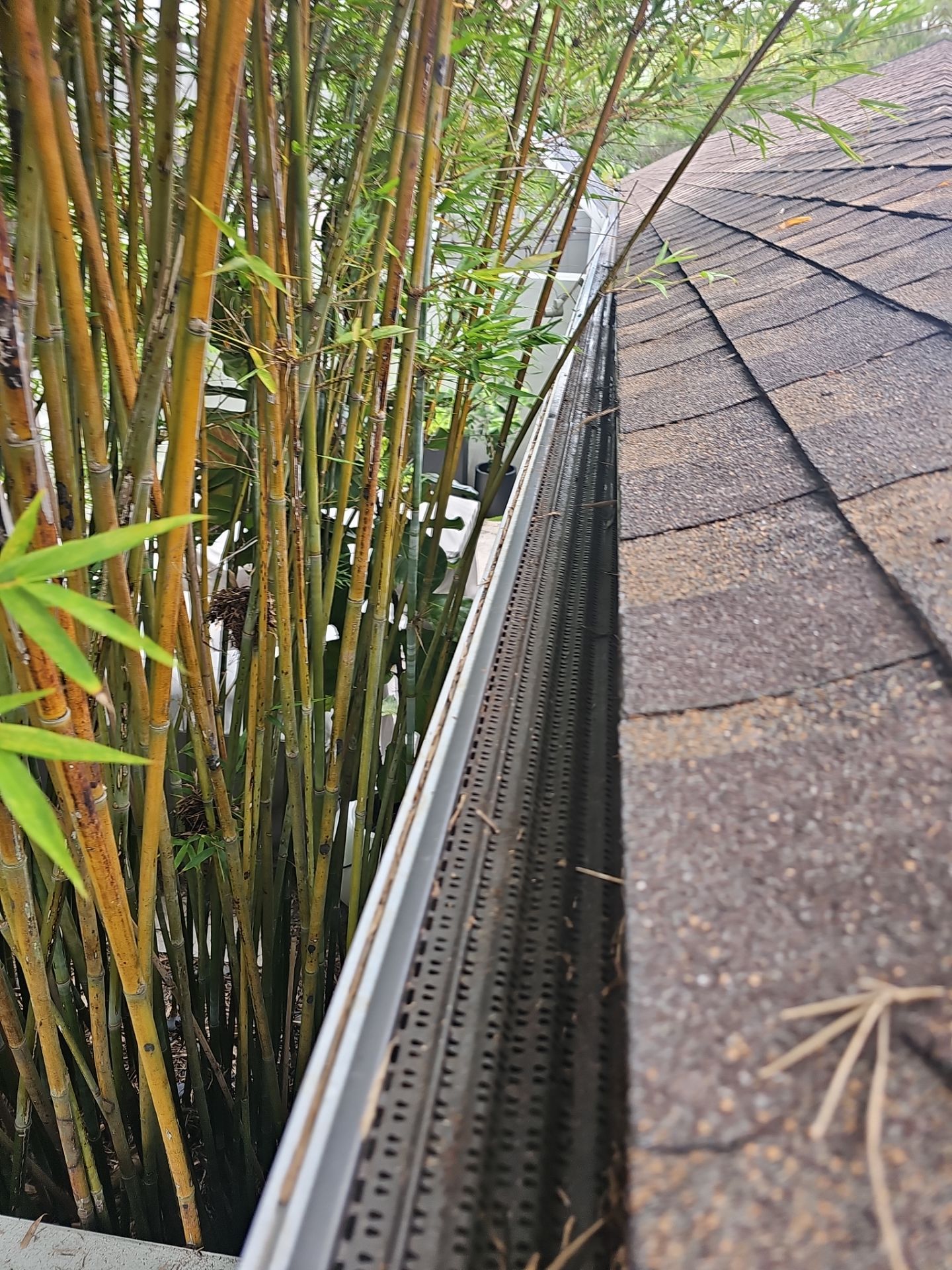 HOA gutter cleaning after photos.