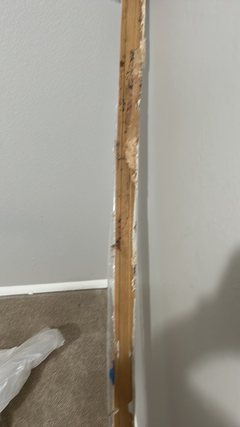 Mold Damage Repairs by Accountable Home Services