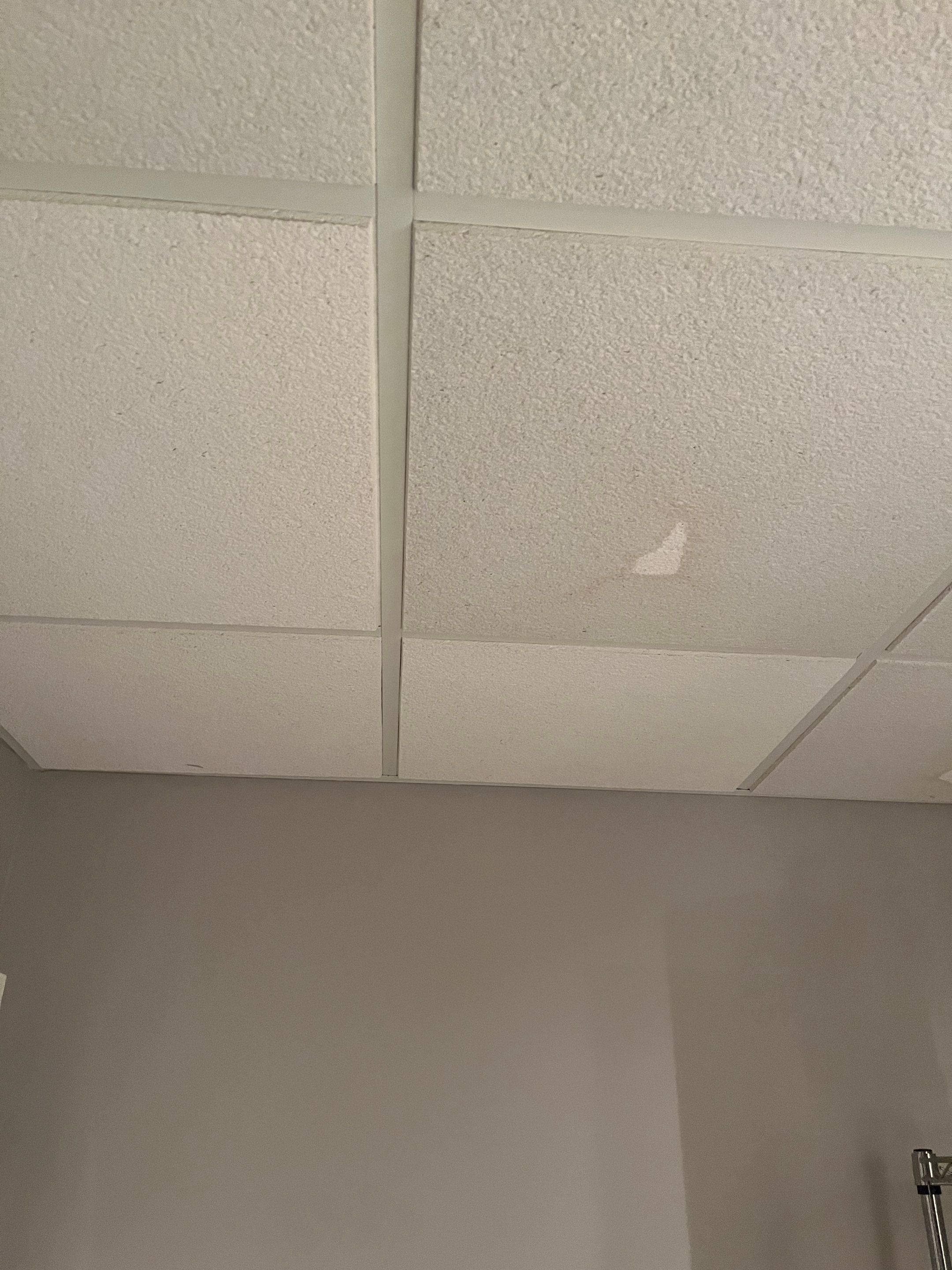 Basement Pipe Burst Emergency Mitigation Demo and Dry Down using Dehumidifiers and Air Movers by Absolute Roofing and Construction
