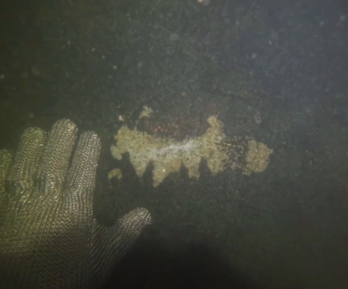Project in Ft Myers Beach by Florida Hull Cleaning 