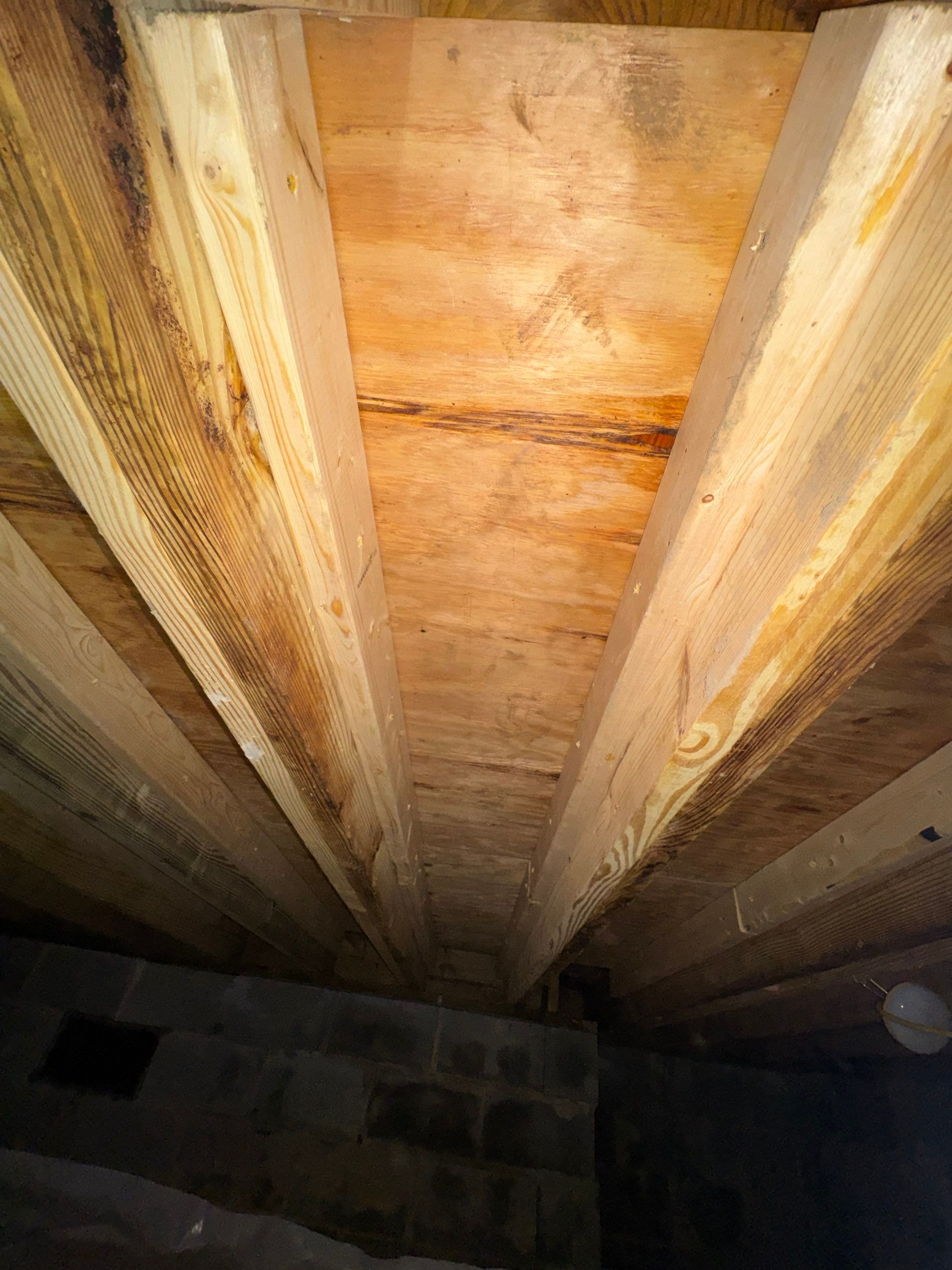 Project in Suffolk by Patriot Crawl Space Repairs