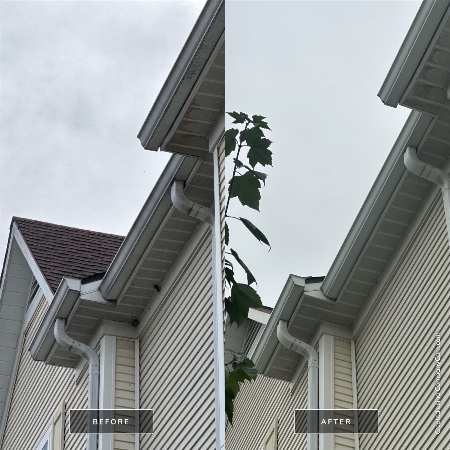 Extended Stay America West Dundee Building Wash by Simmons Power & Soft Washing