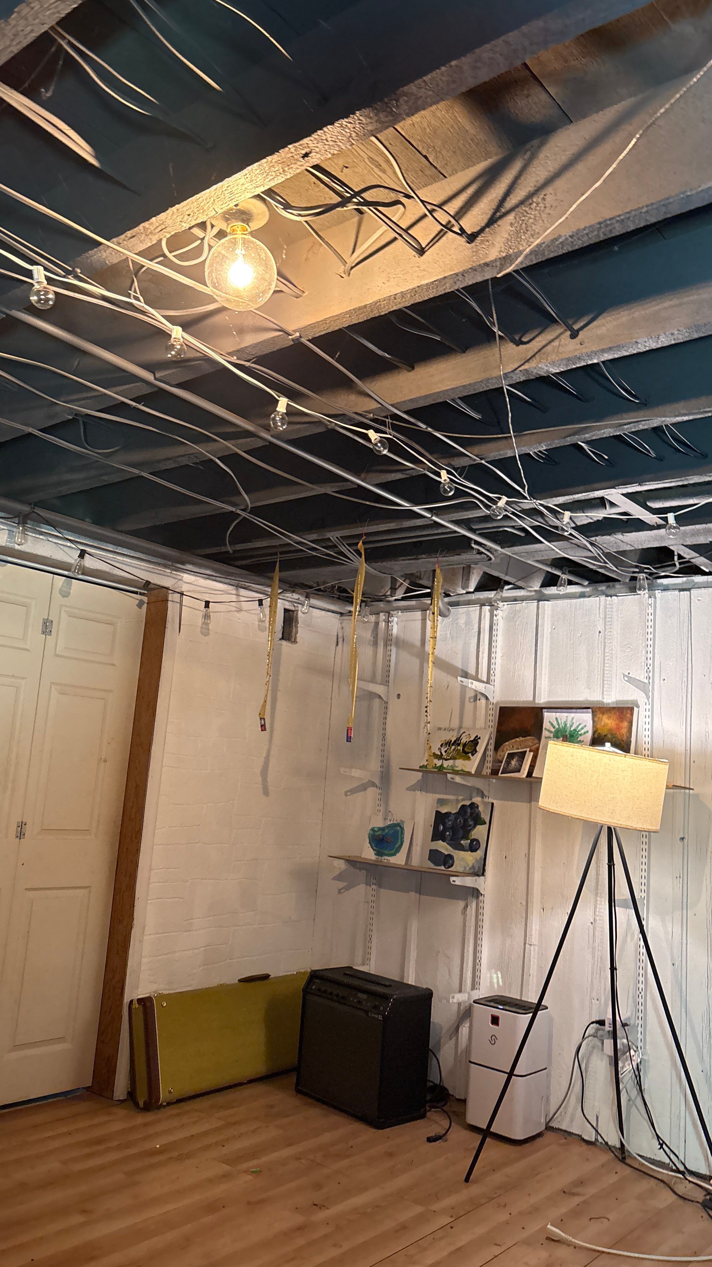 Wanamingo Basement Renovation with Dark Painted Ceiling Joists by CompanyCam Sales Demo