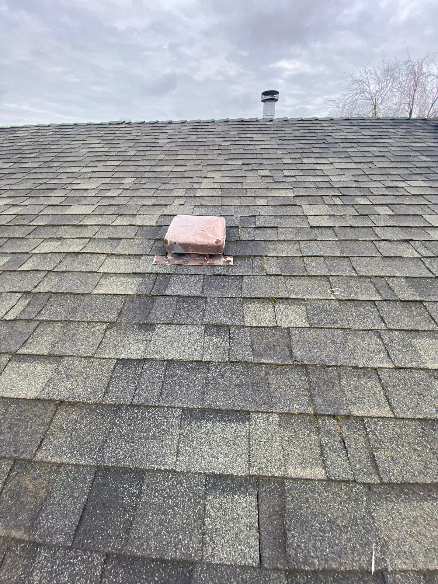 Roof Rejuvenation using Roof Maxx Treatment by Roof Maxx of Folsom