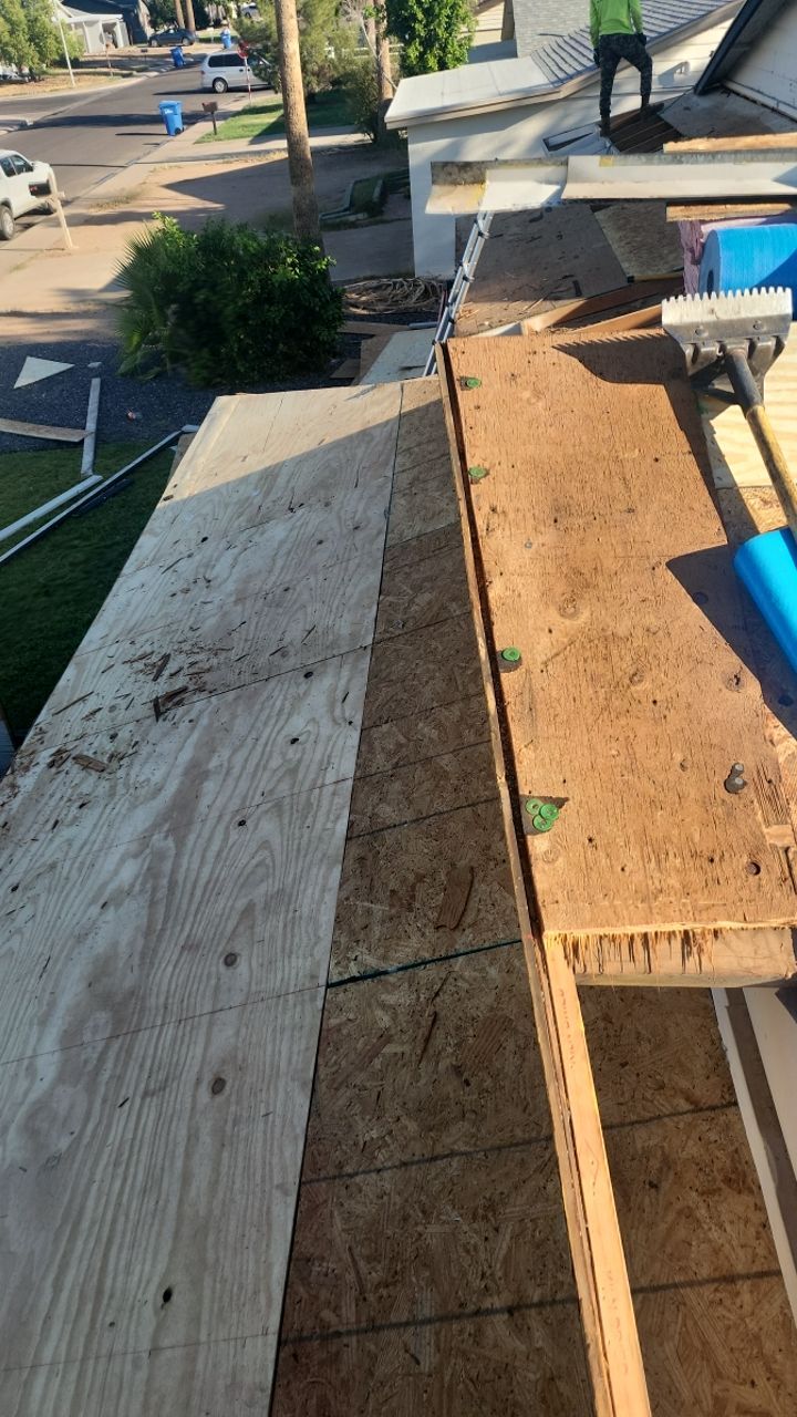 Silver Birch Shingles by Reimagine Roofing