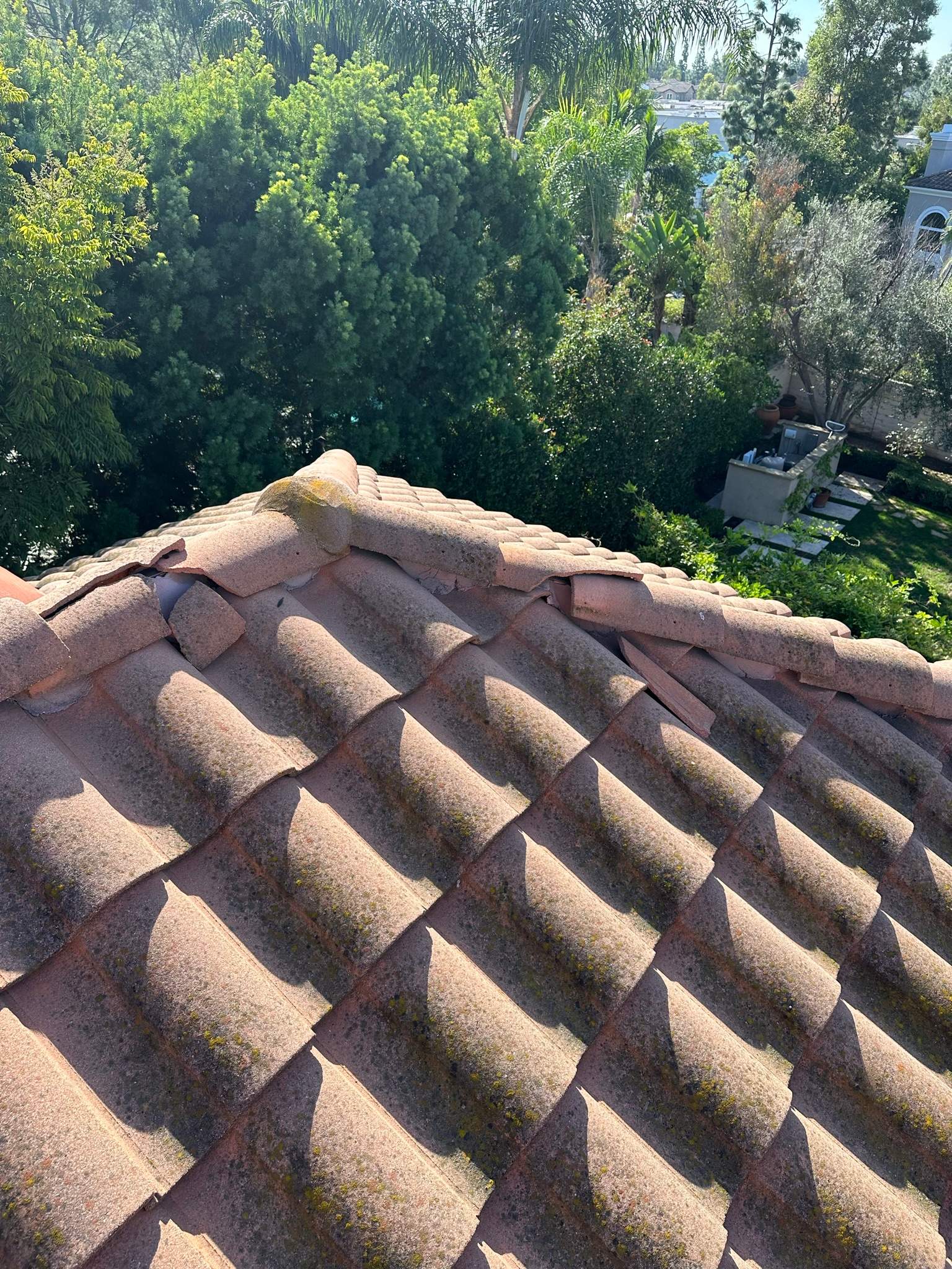 Roof wash on this dirty roof covered in algae by Property Cleaning Experts, LLC