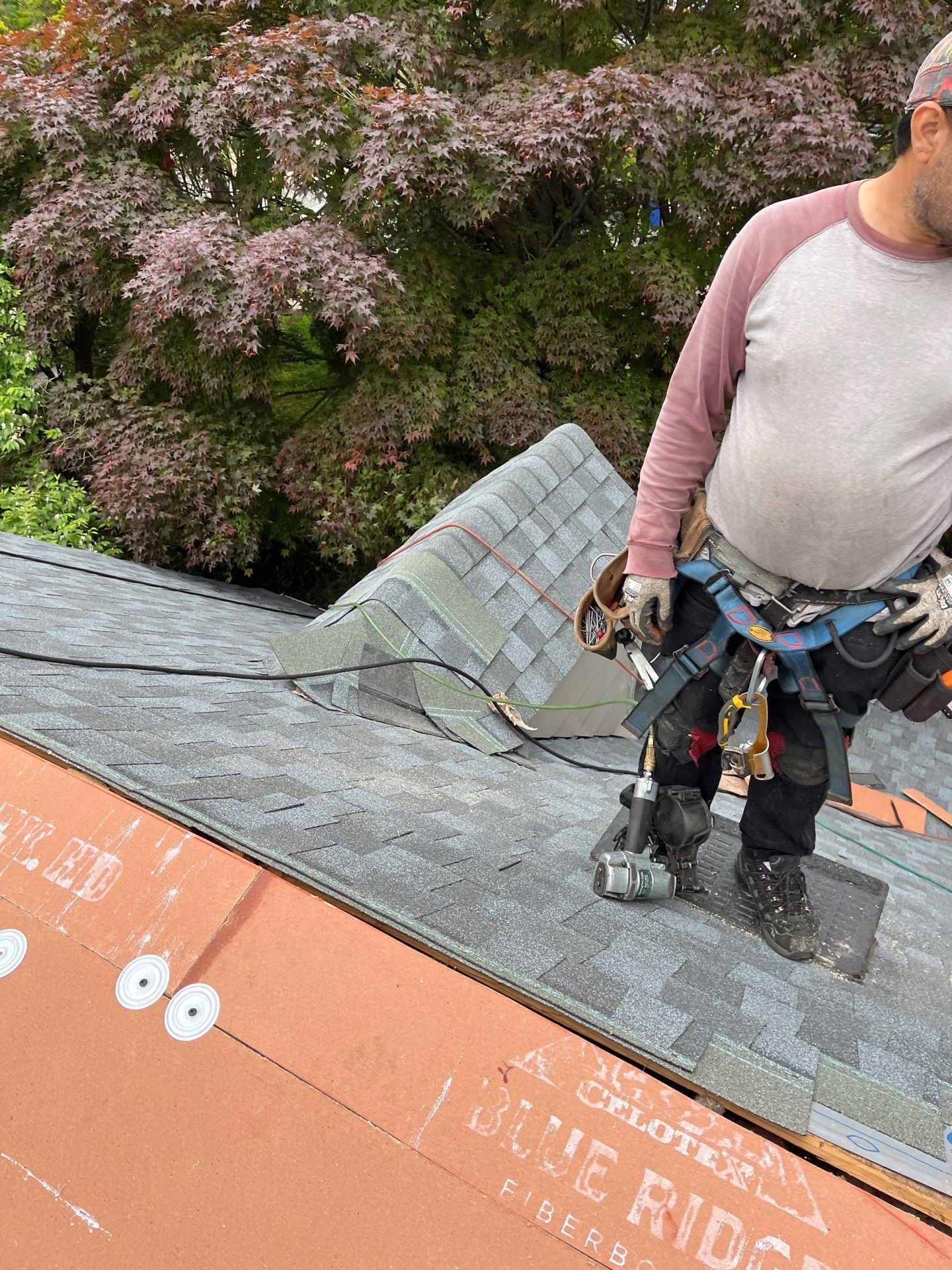 Falls Church: CertainTeed Landmark Pro Designer Shingles in Max Def Pewter by RM Banning, Inc.