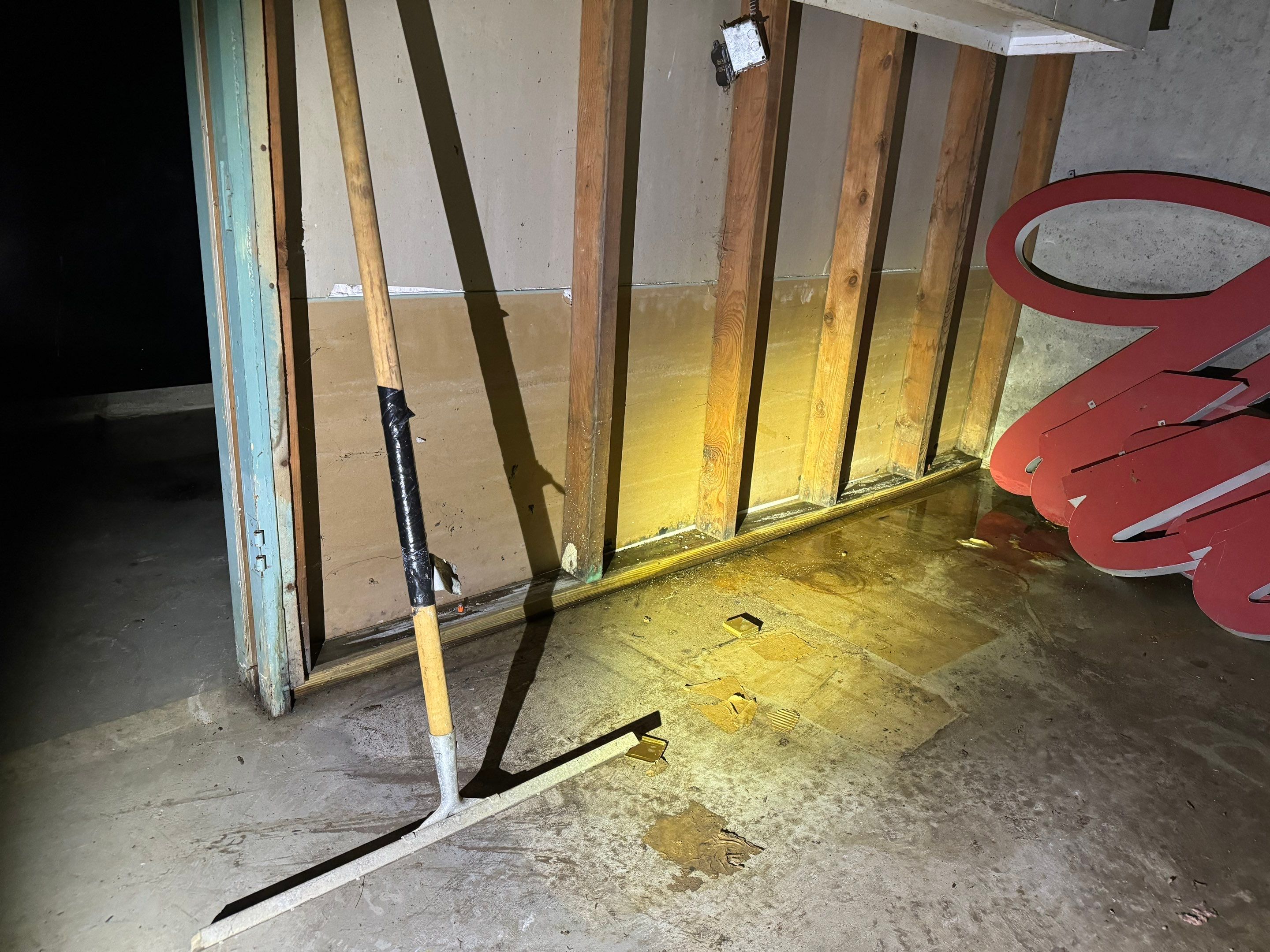 Basement Mold Remediation by Home Guarantee, LLC