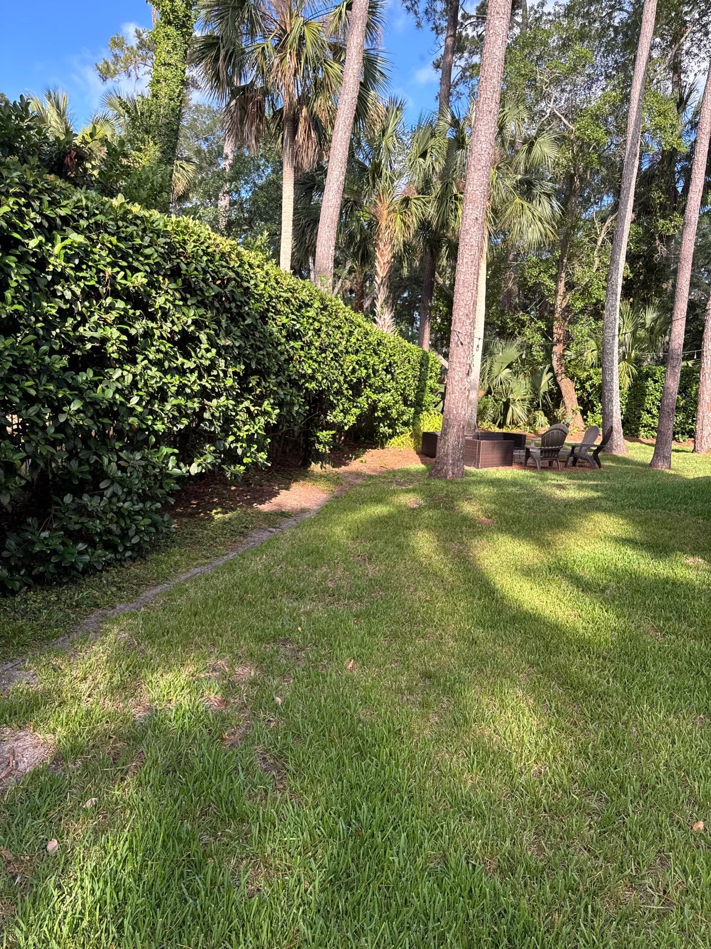 Residential | Pine Straw Install by ProGreen Services