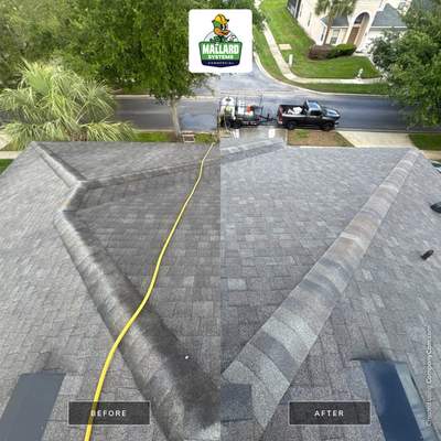 Shingle Roof Cleaning