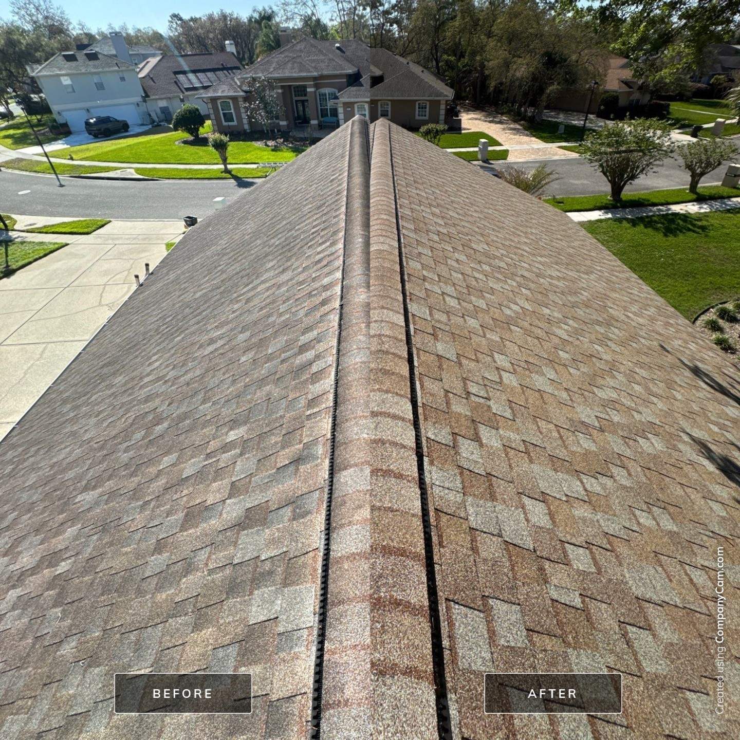 Shingle Roof Cleaning by Mallard Systems