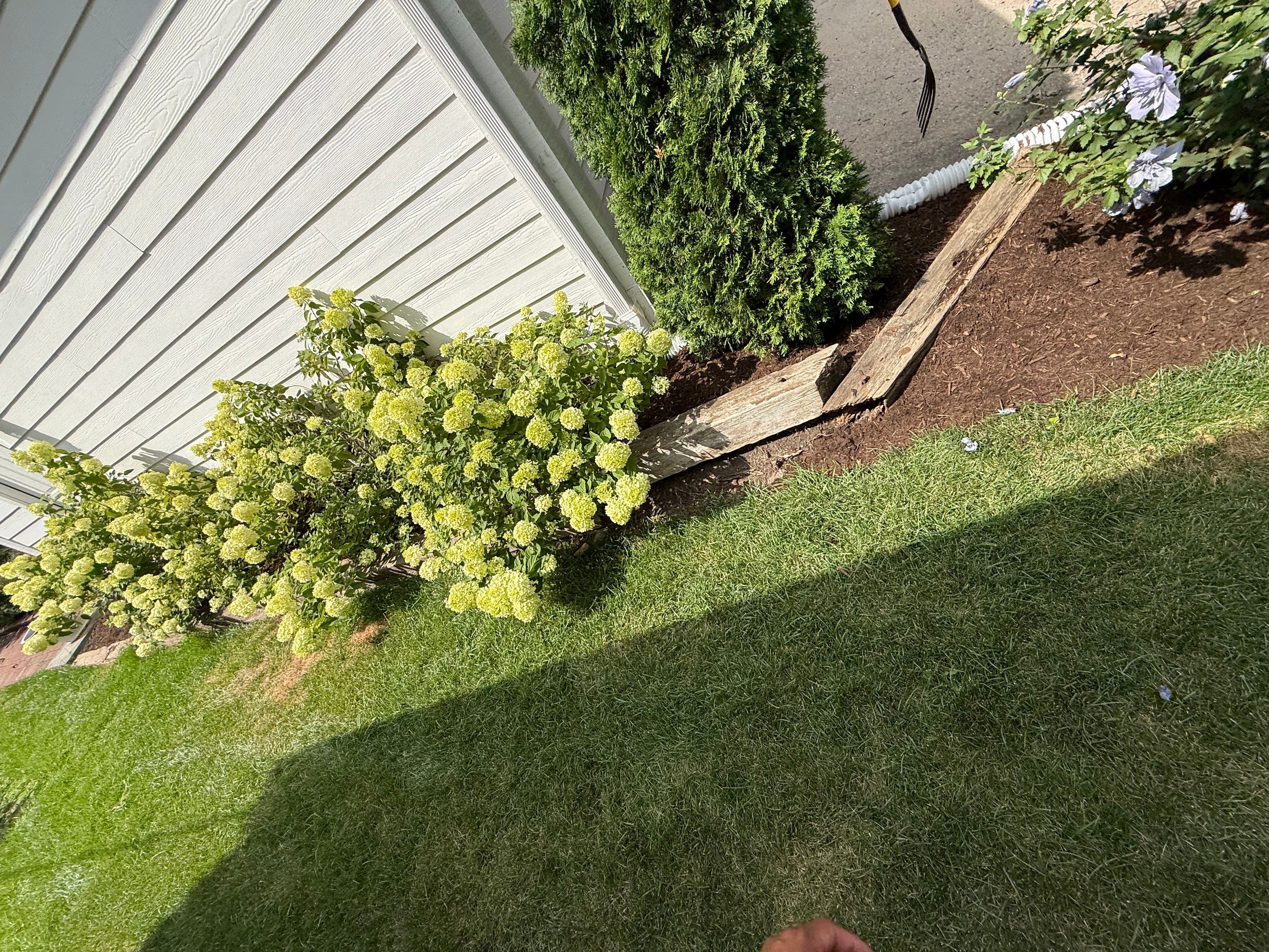 Jason G. - Arlington Heights, IL by A&N