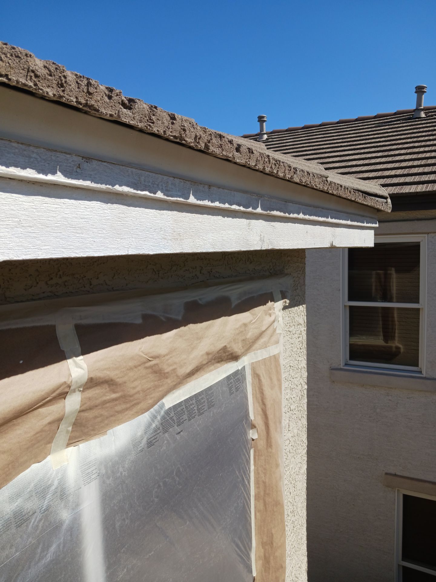 Exterior Painting - Phoenix by Crash of Rhinos Painting & Garage Floors