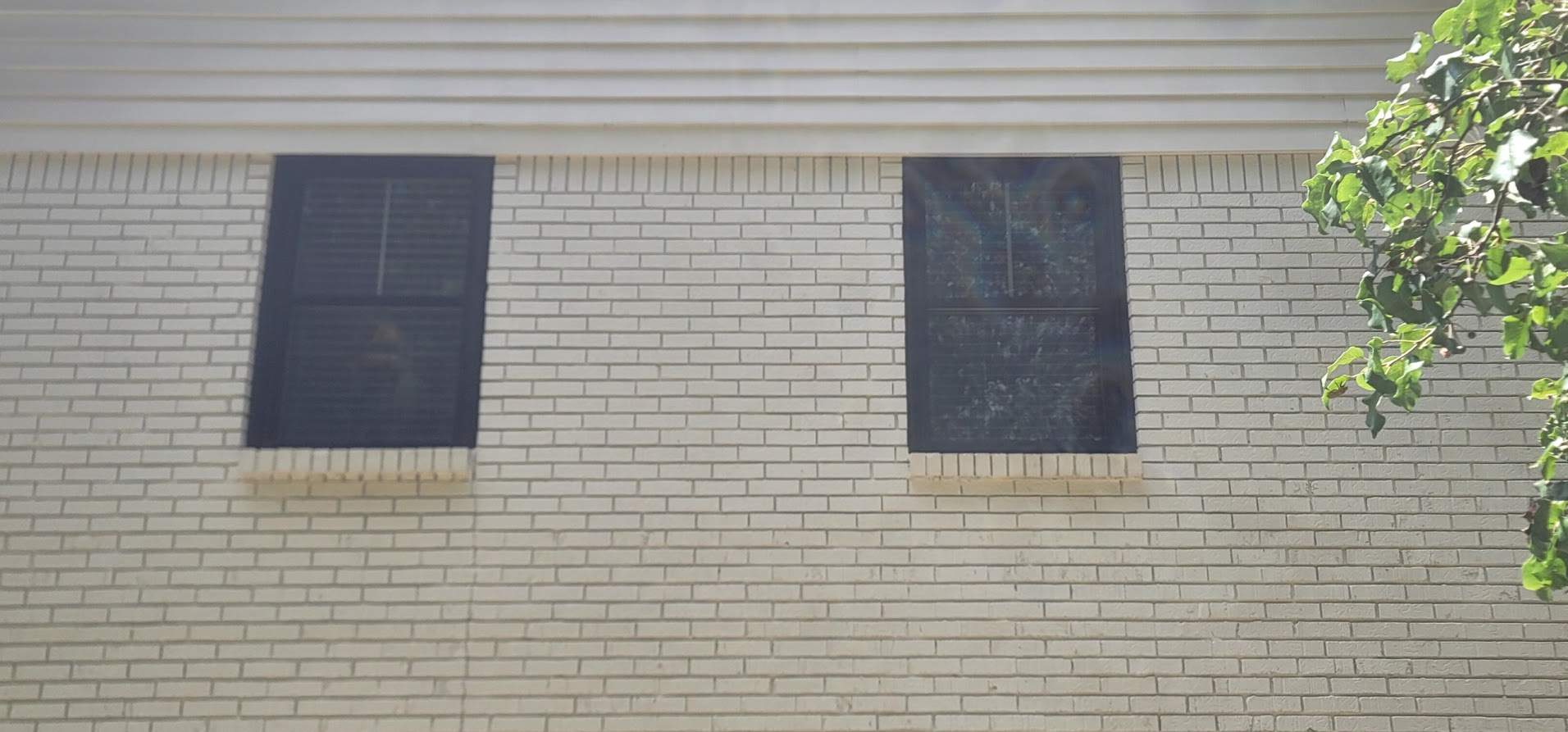 Meadows Project in Montevallo by The Window Source