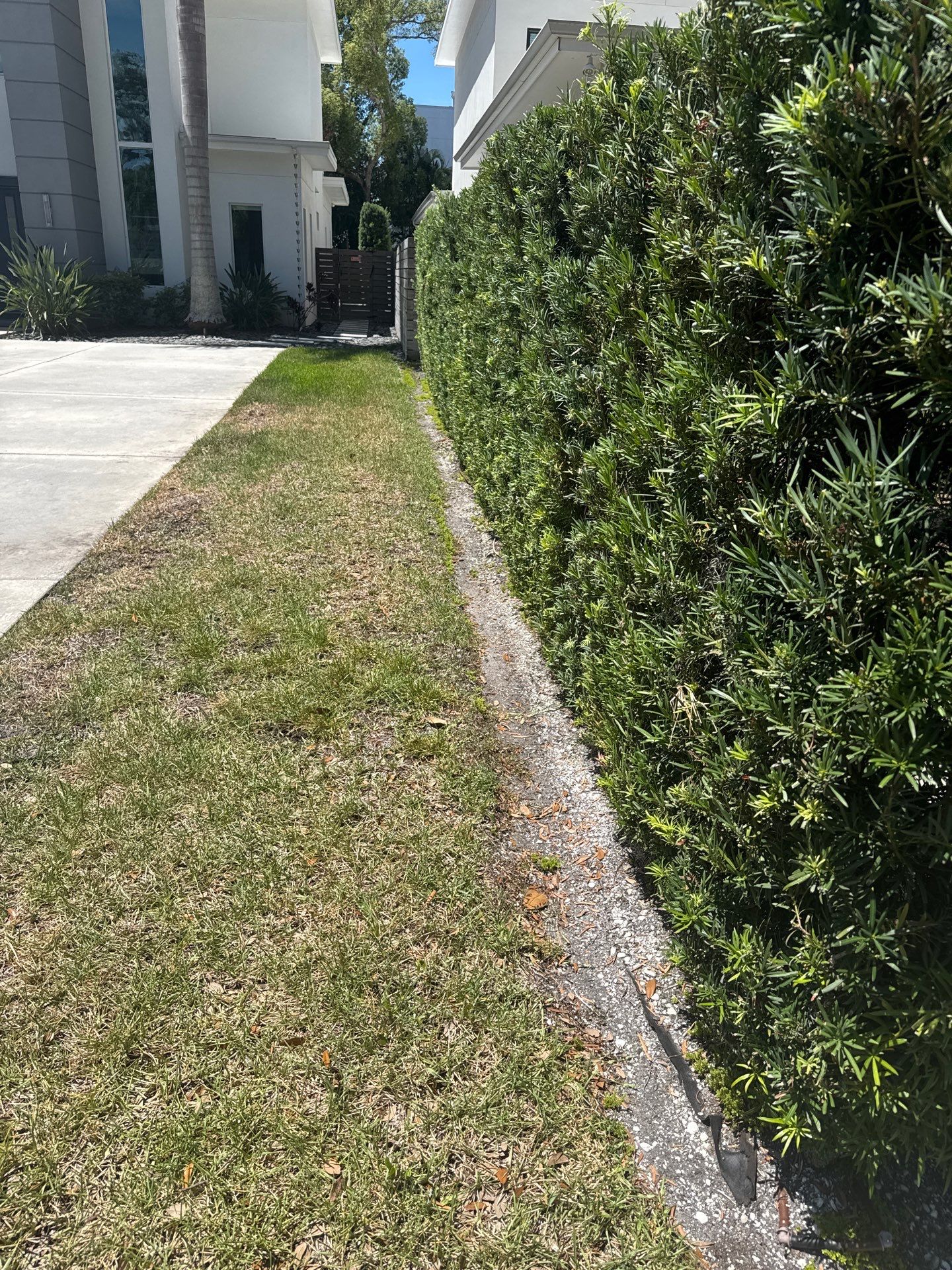 Custom Outdoor Lighting and Artificial Grass Installation in Tampa by Elegant Accents