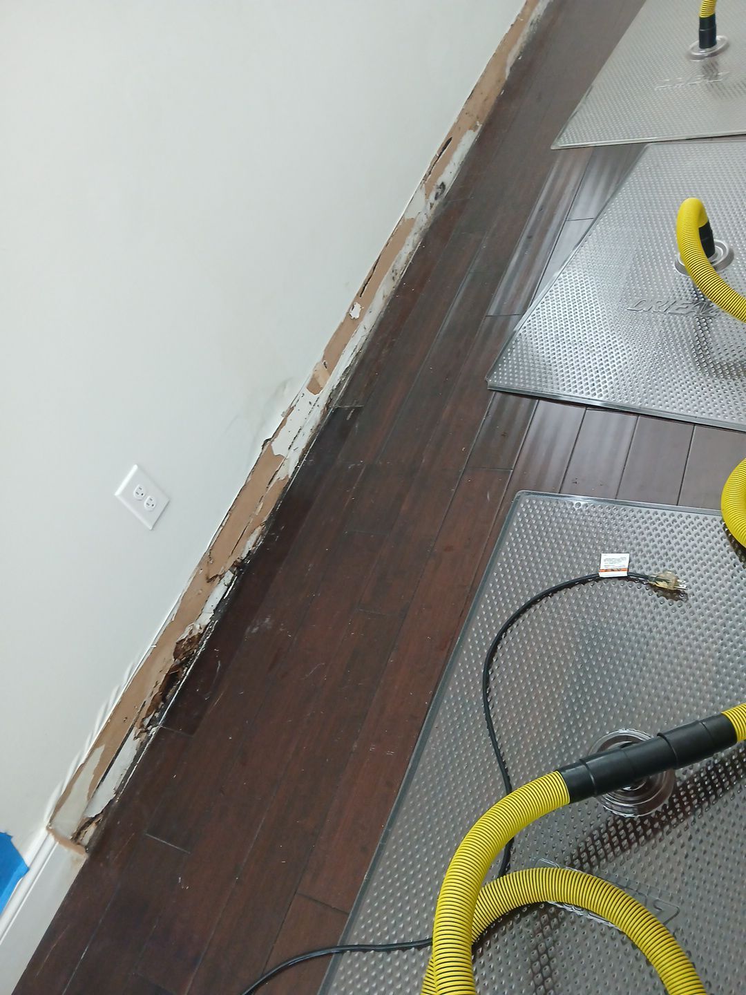 Professional Water Damage Mitigation and Hardwood Floor Drying in Wellington by SuperClean