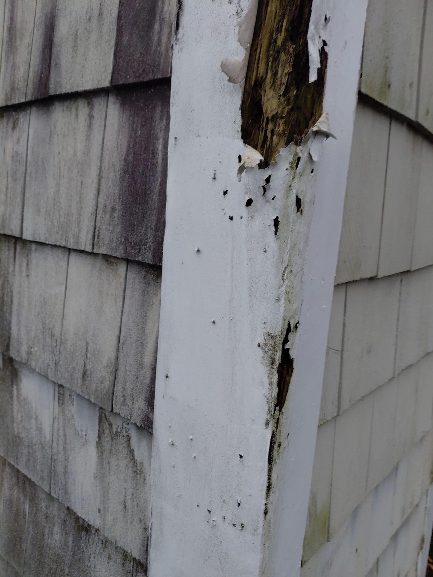 Reston :  Residential Roof Replacement with Brava Synthetic Cedar Shake Class C Natural  by RM Banning, Inc.