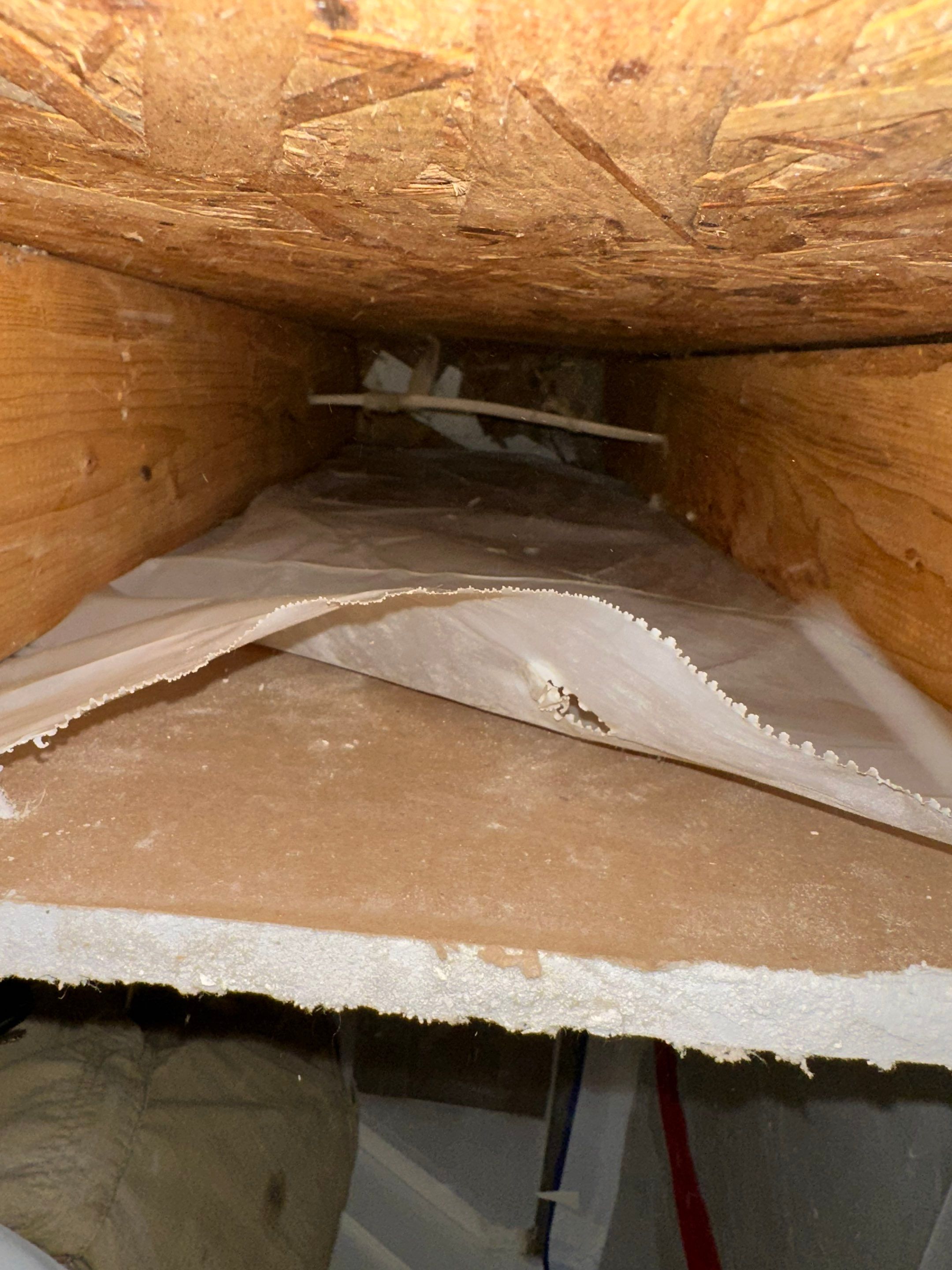 Water Damage in Denver, CO by Alpha Restoration 