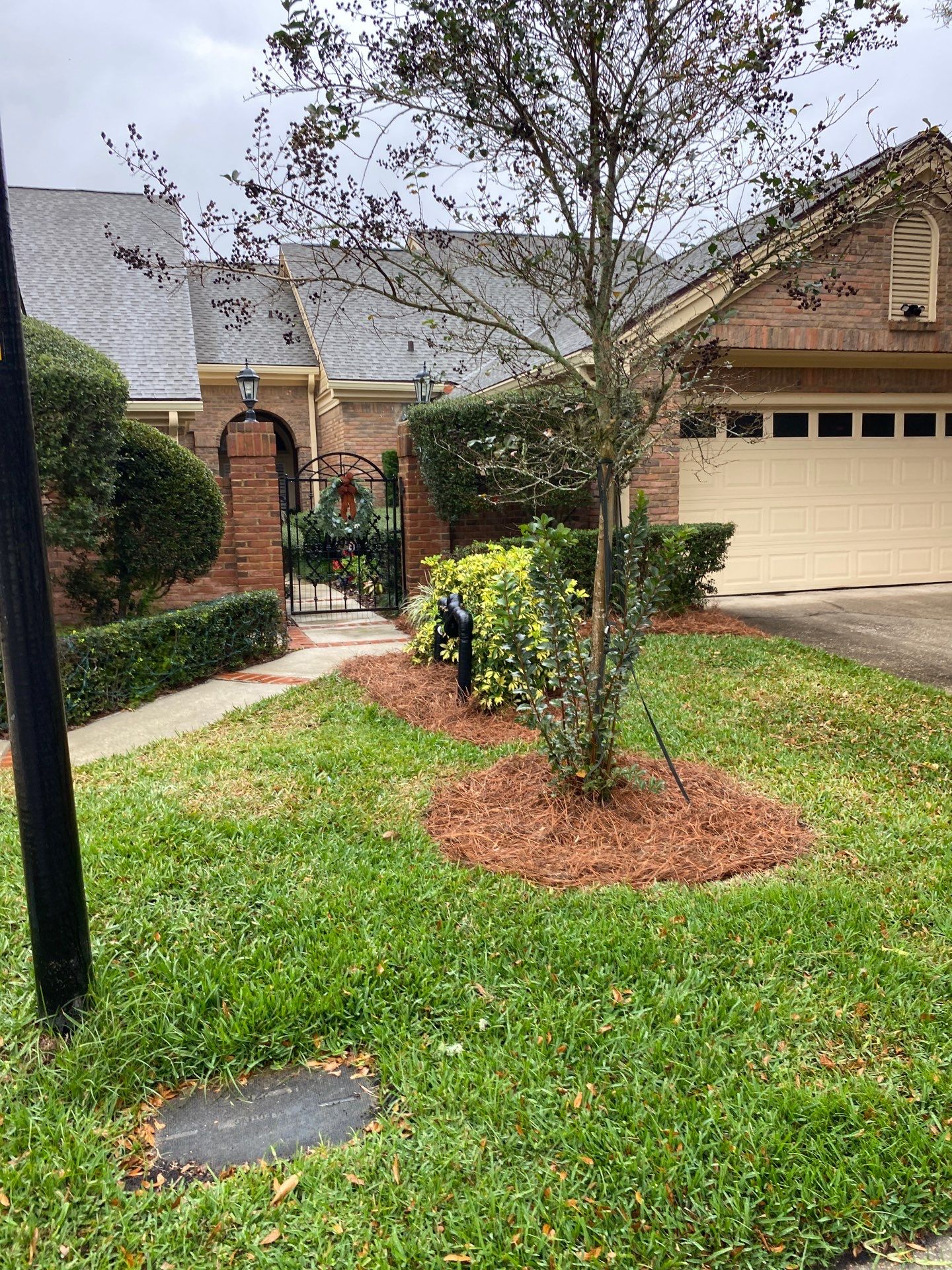 Deerwood Pointe | Tree Removal & Pine Straw Installation by ProGreen Services