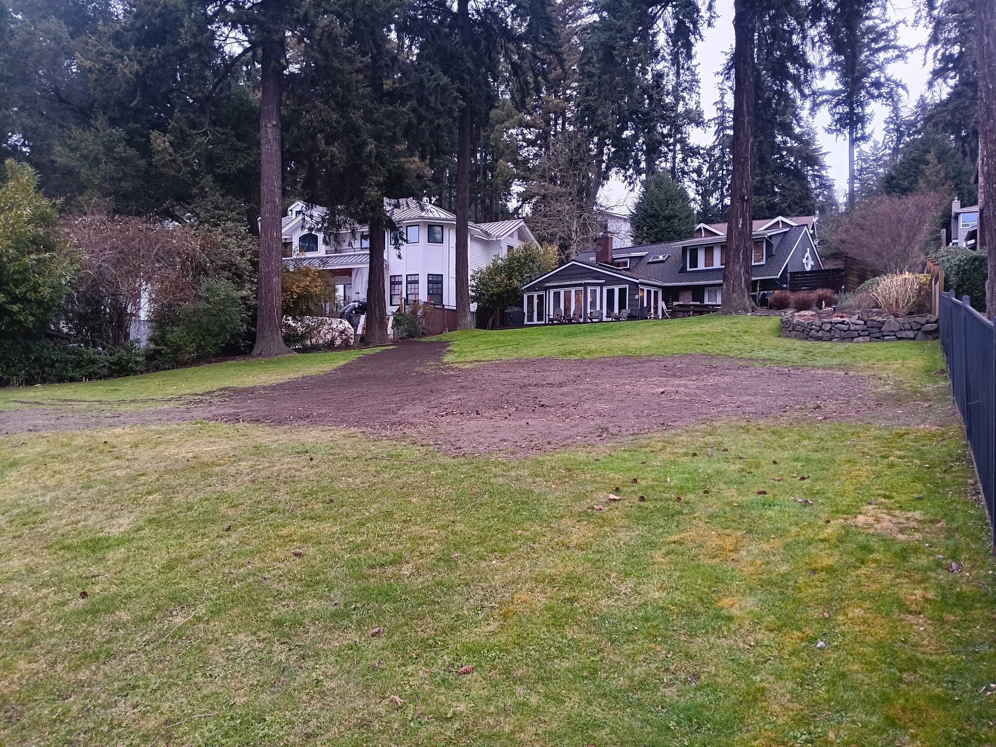 π² Bellevue Emergency Tree Removal β Trees Fallen into Lake Washington | ISA Certified Arborist Response by Sound Tree Care LLC