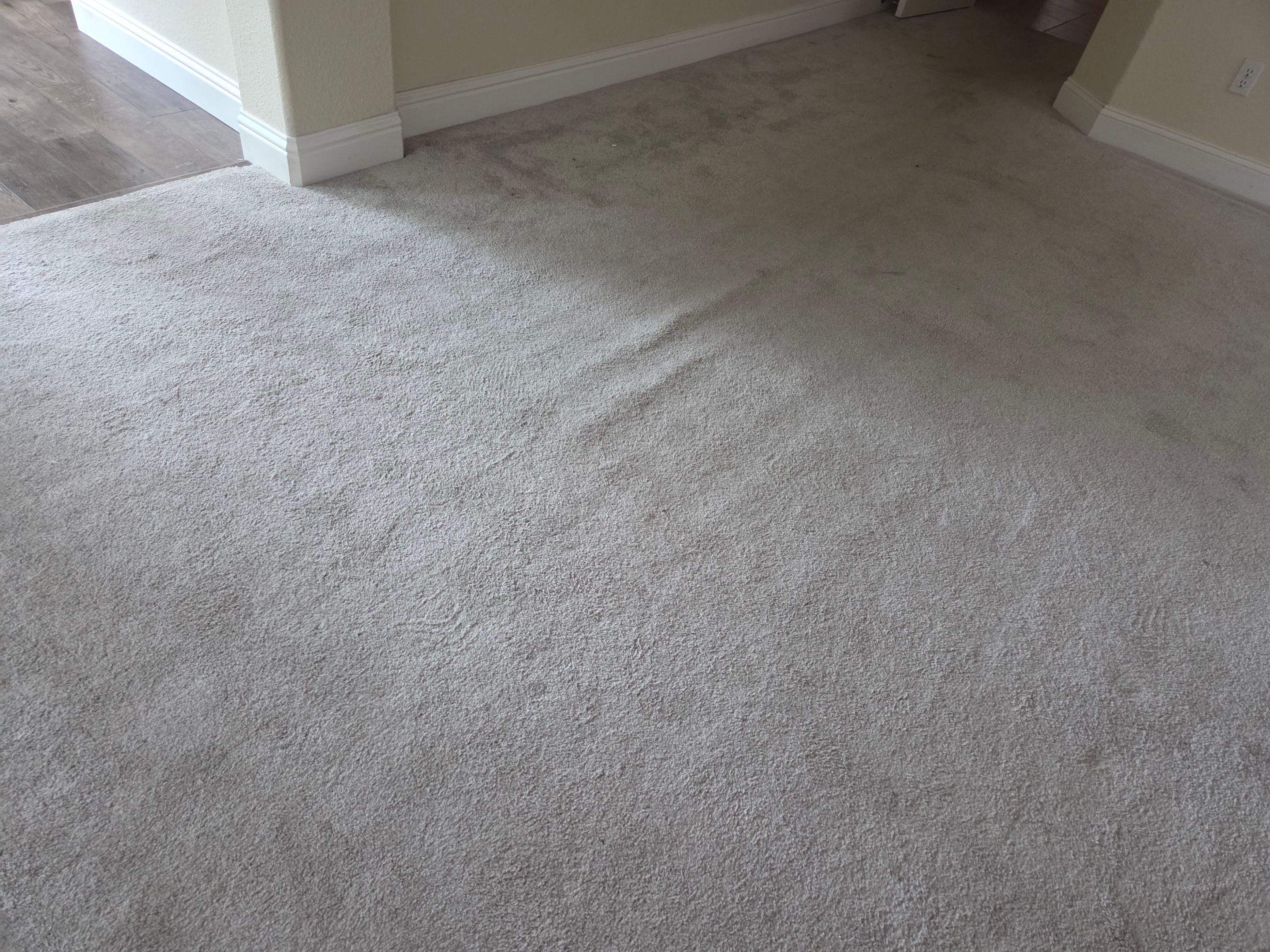 Carmichael Carpet Re-stretching and Cleaning by Ardent Carpet Restore LLC