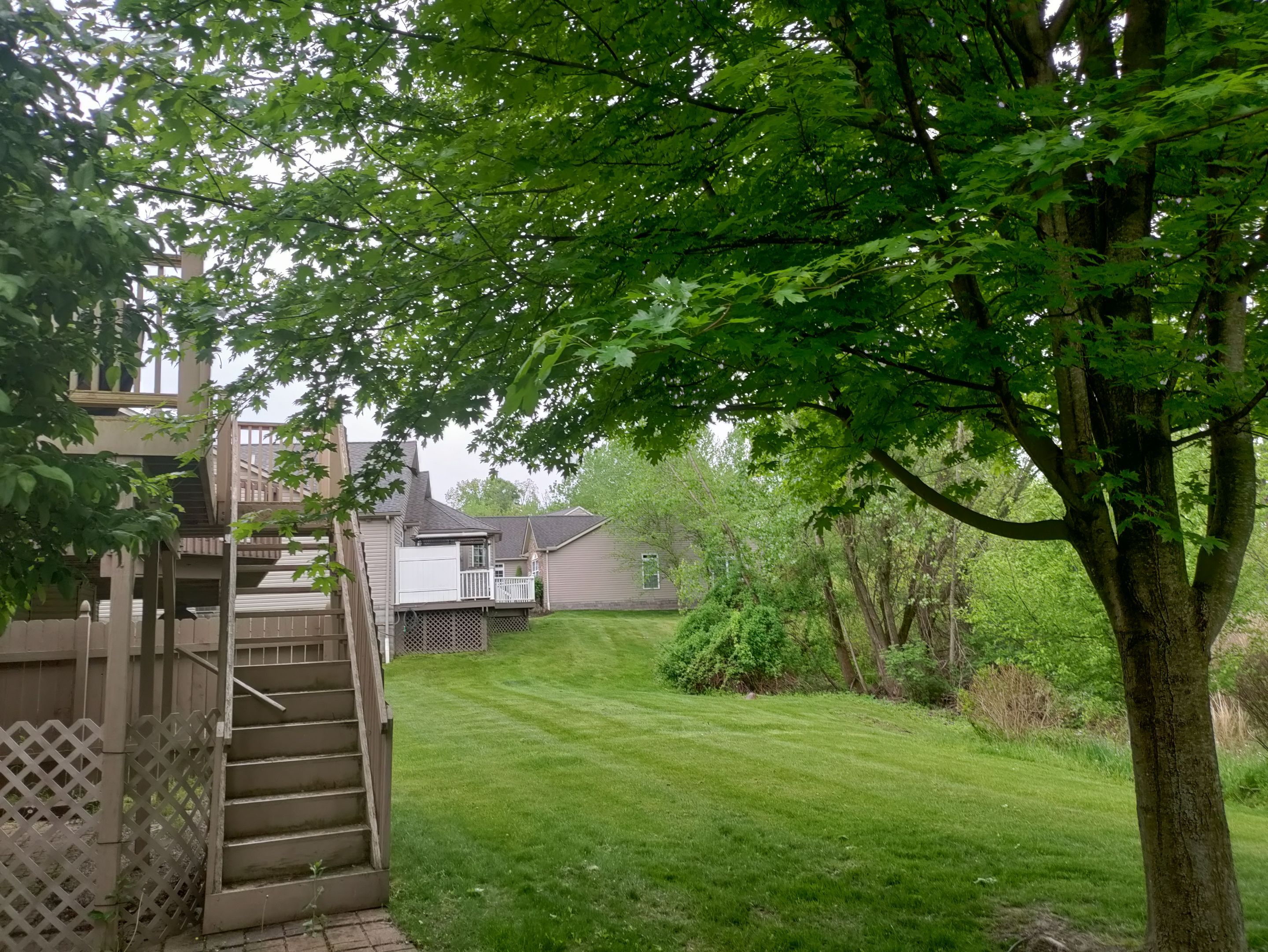 Tree Removal using Tree Removal by Mike Jones & Sons Tree Service LLC 