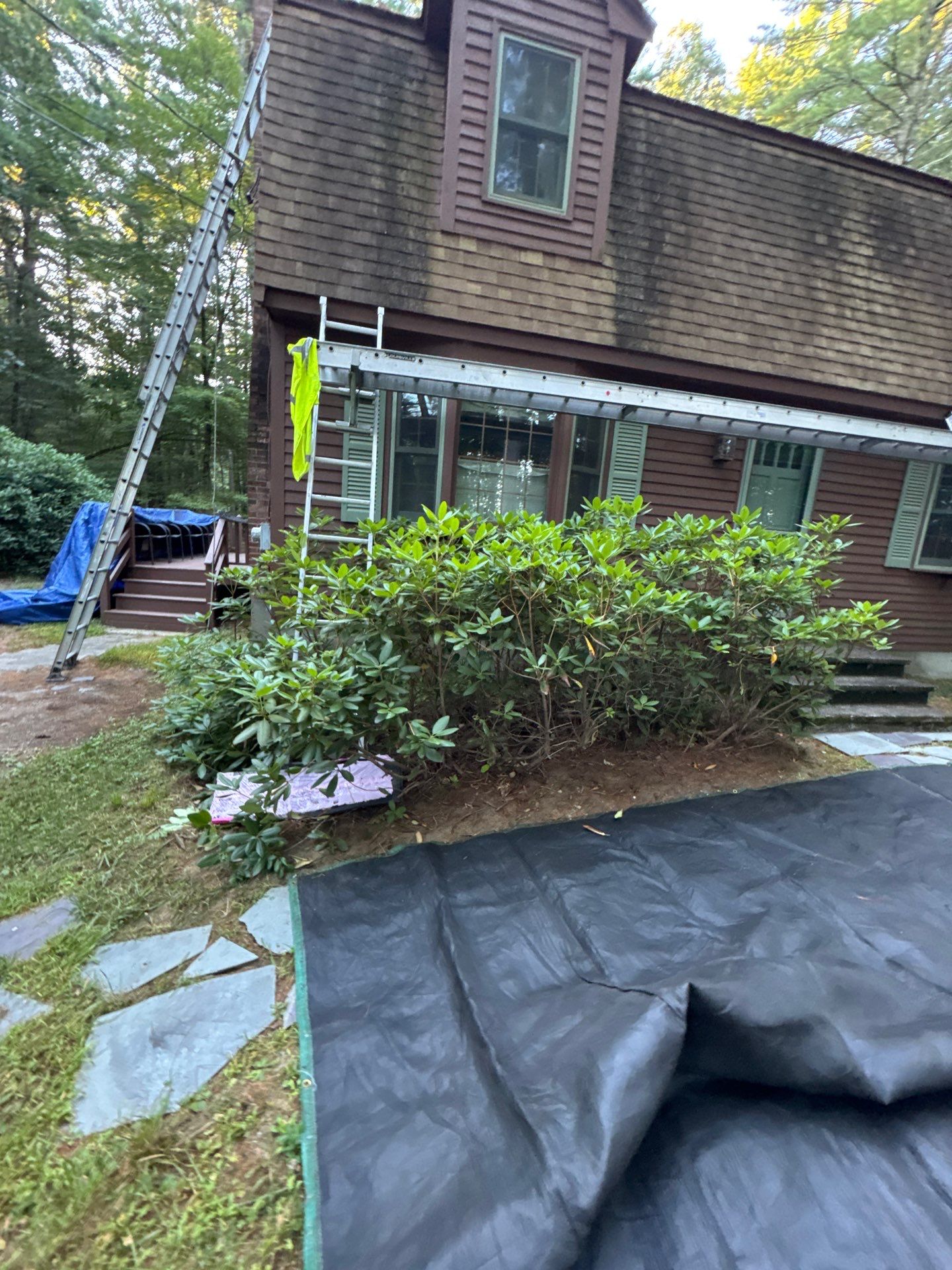 Roof Replacement – Rosalie Brown, MA by Mighty Dog Roofing of Greater Middlesex County
