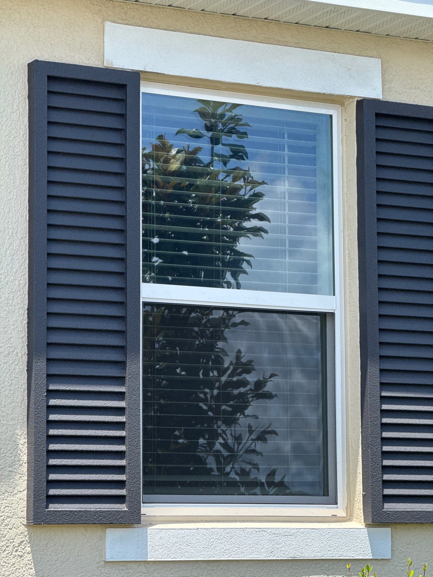 Renovacion de Patio by CompanyCam Help Articles Test