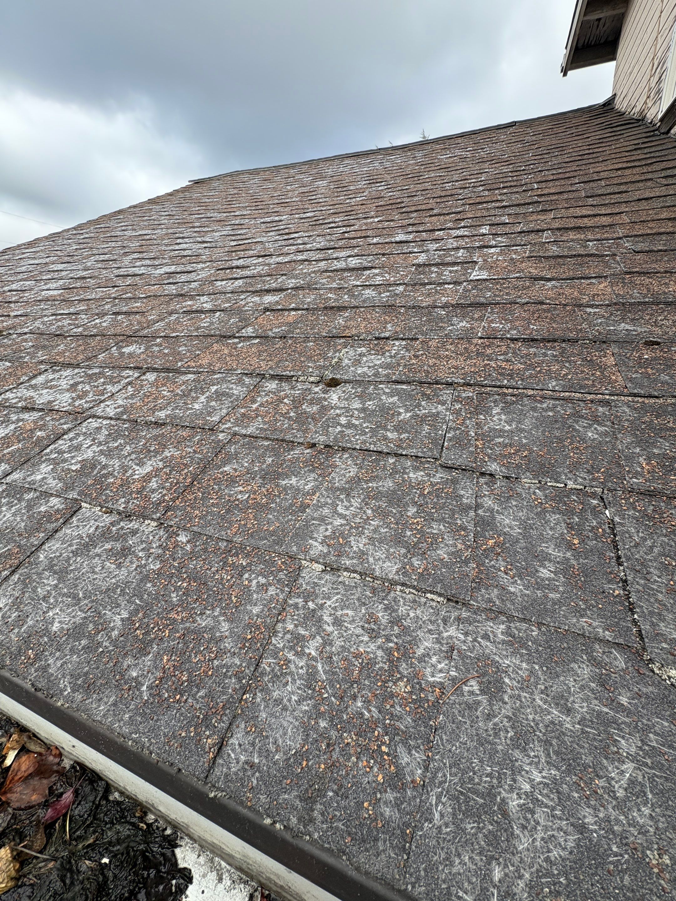 Reroof, Gutters, and Repair by Hawthorne General Construction