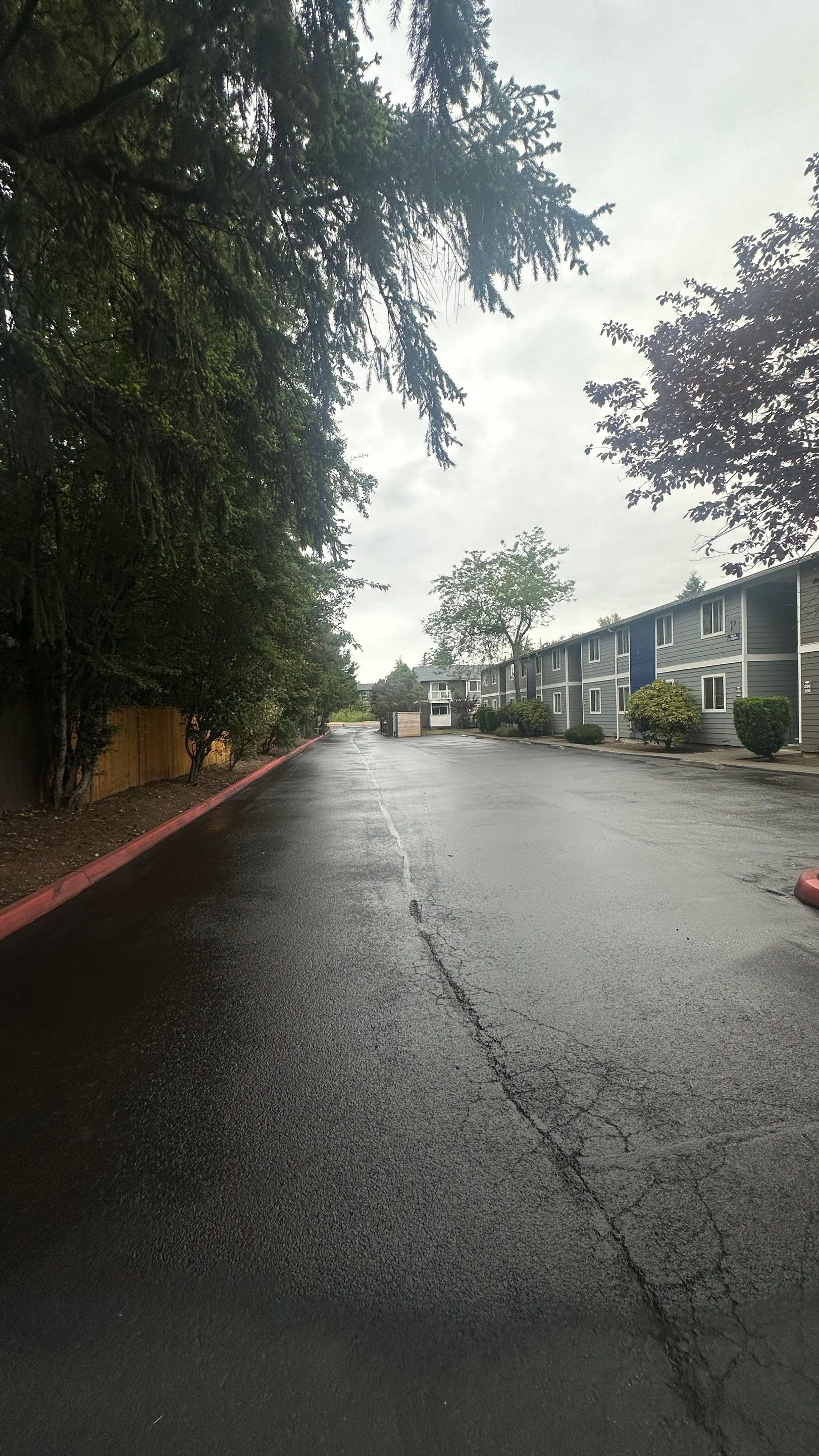 Chaz | Driveway Repave, Asphalt Project  by Jireh Asphalt & Concrete Inc 