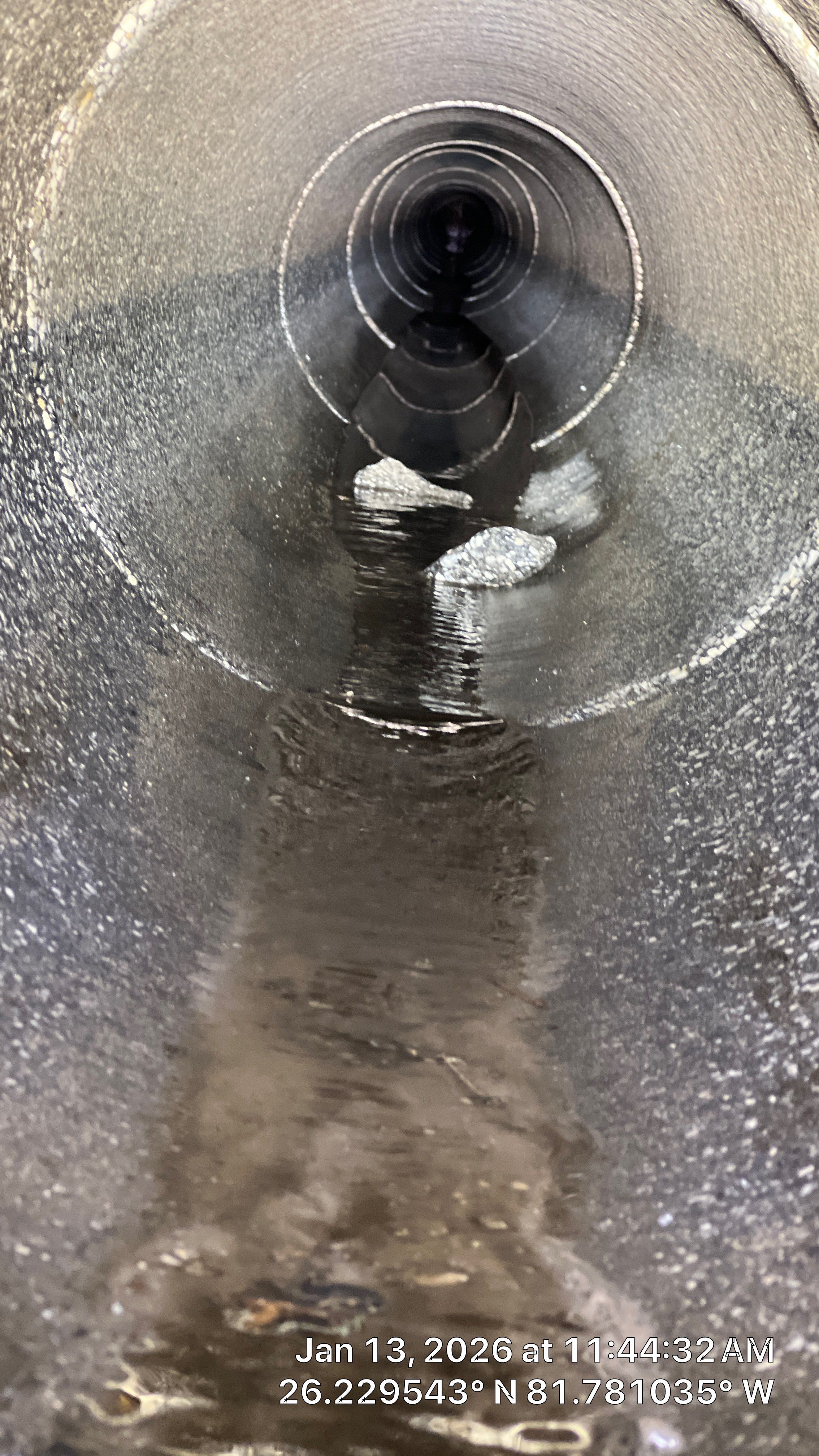 Naples Community Root Intrusion Investigation with P.R.S. by Don Mar, Inc. Storm Water Solutions