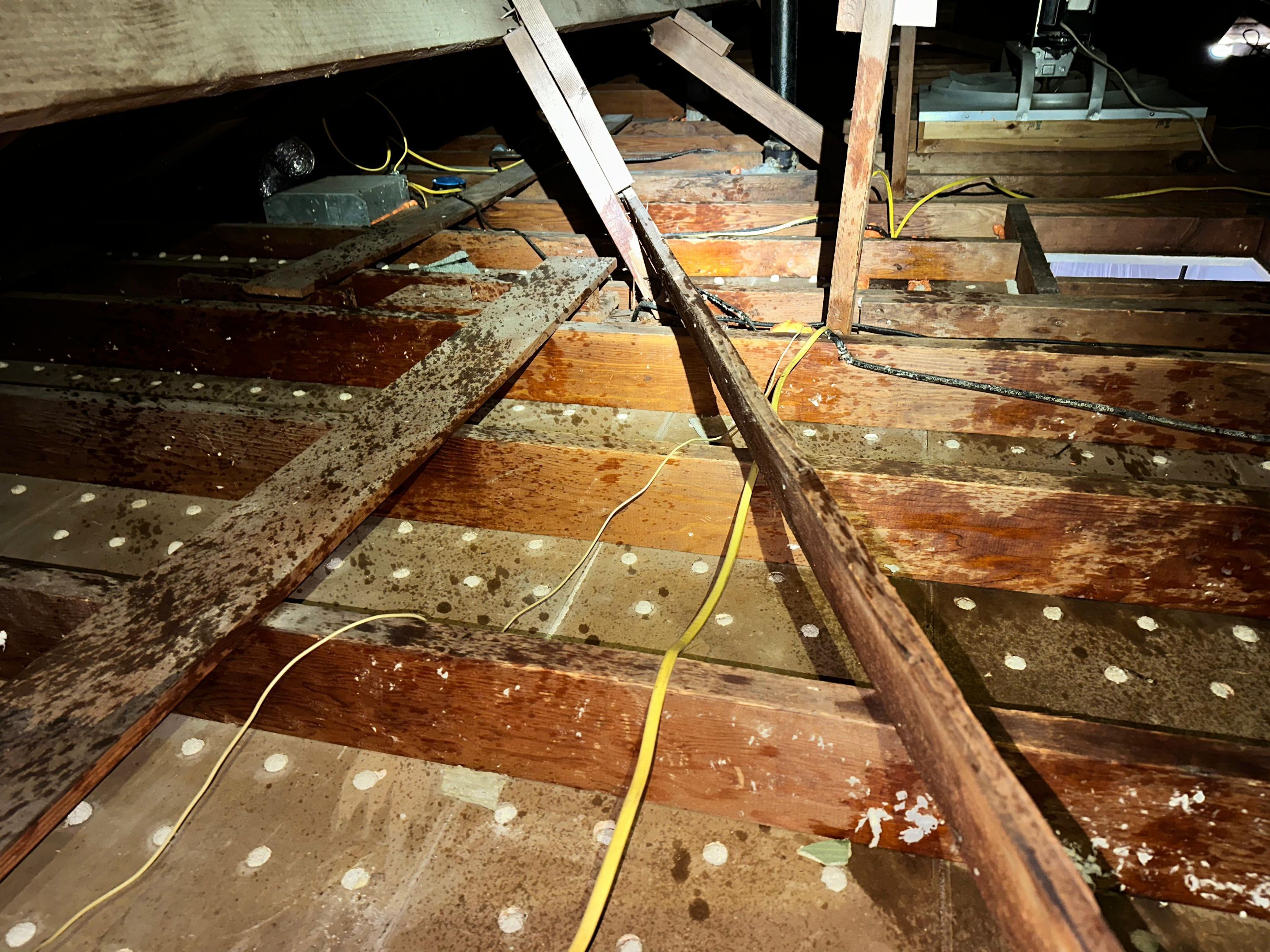 Project in Whittier by Insulation Labs