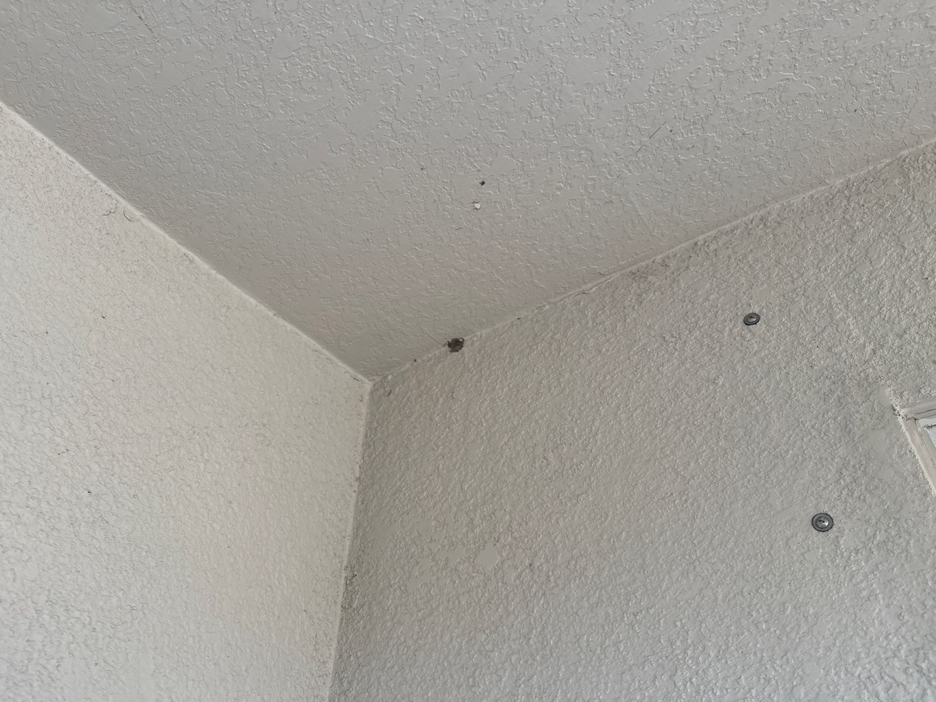 House Wash, Lanai Cleaning & Driveway Washing | Willow Walk Palmetto FL by Sunshine AquaWash