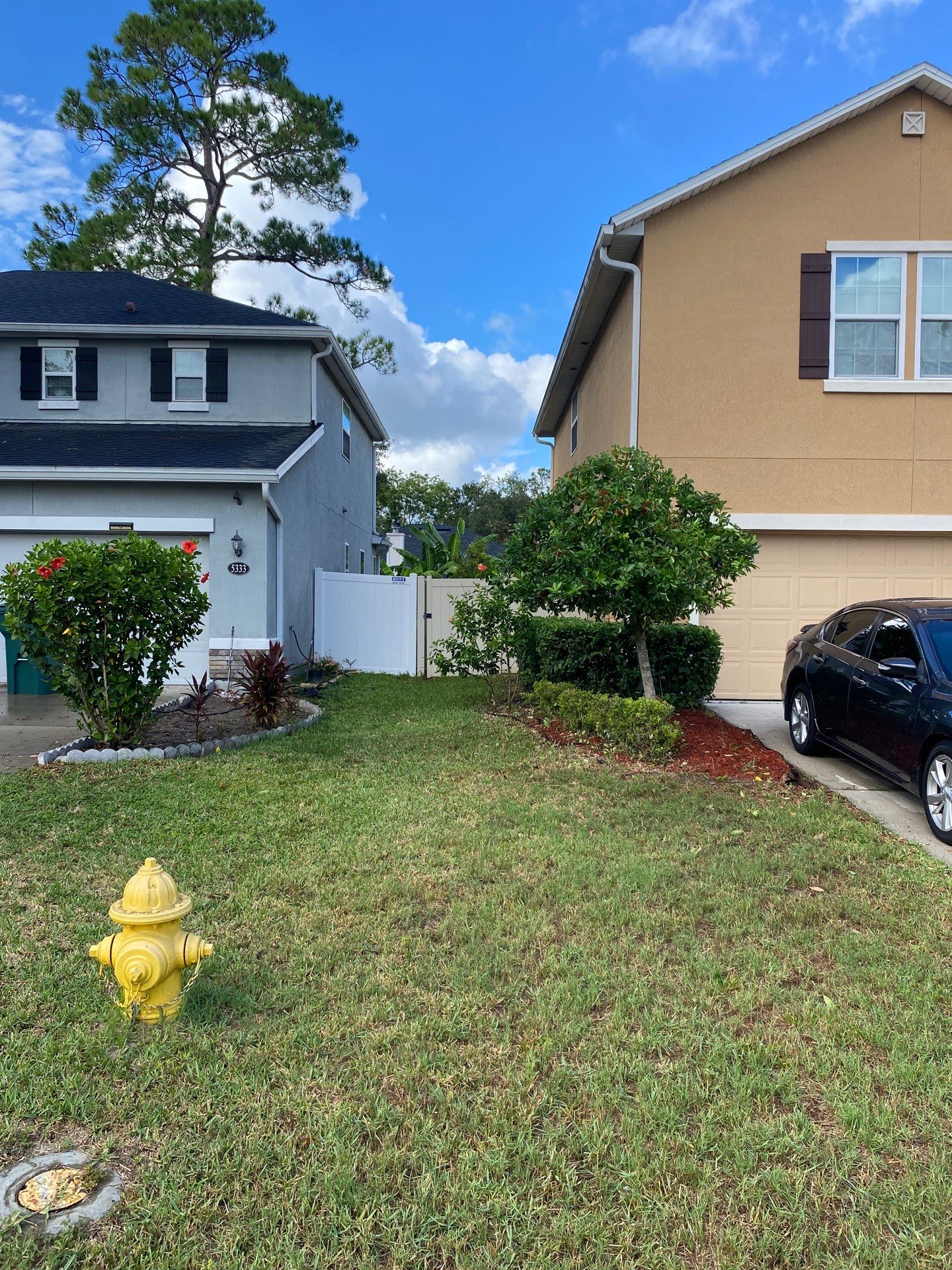 Property Clean Up | Residential by ProGreen Services