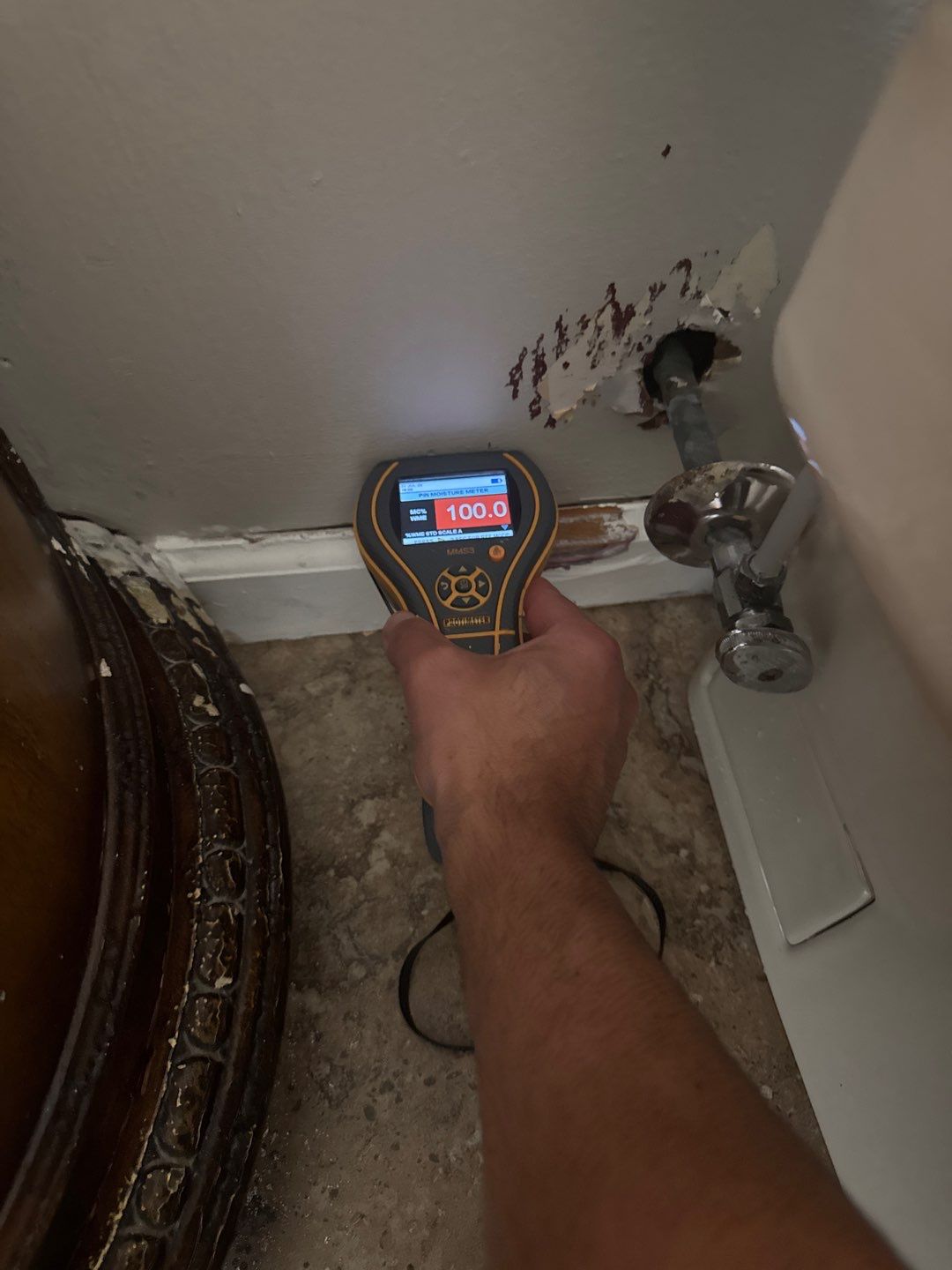 Project in Farmington Hills by EzDry Water Mitigation & Property Restoration