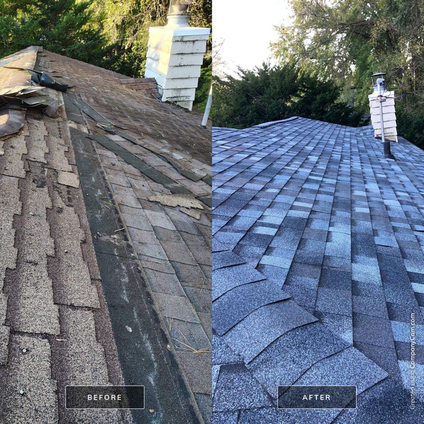 D.Y.: Roof