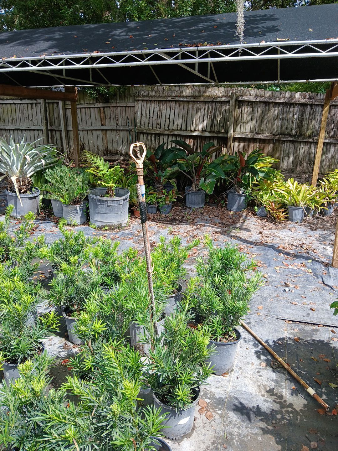 Alpha Zeta Landscaping featured photo.
