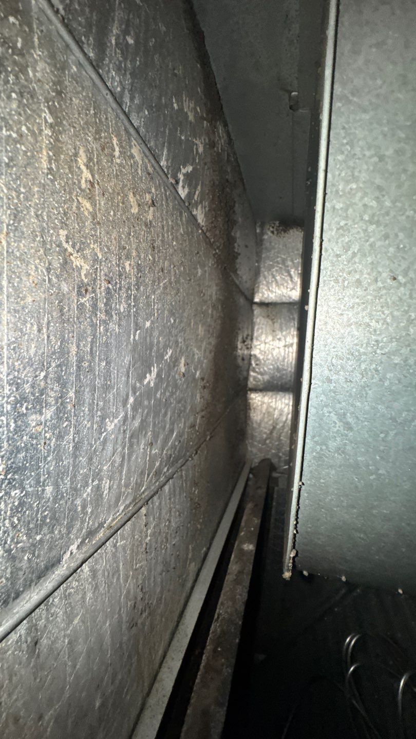 Extremely Dirty Air Duct Cleaning in Fruitland Park by Hygienic Air, Inc