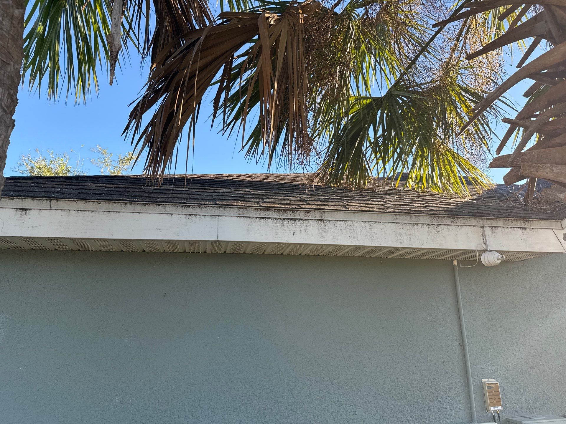 Asphalt Shingle Roof & Fascia Cleaning in Old Mill Preserve, Palmetto, FL | Sunshine AquaWash by Sunshine AquaWash