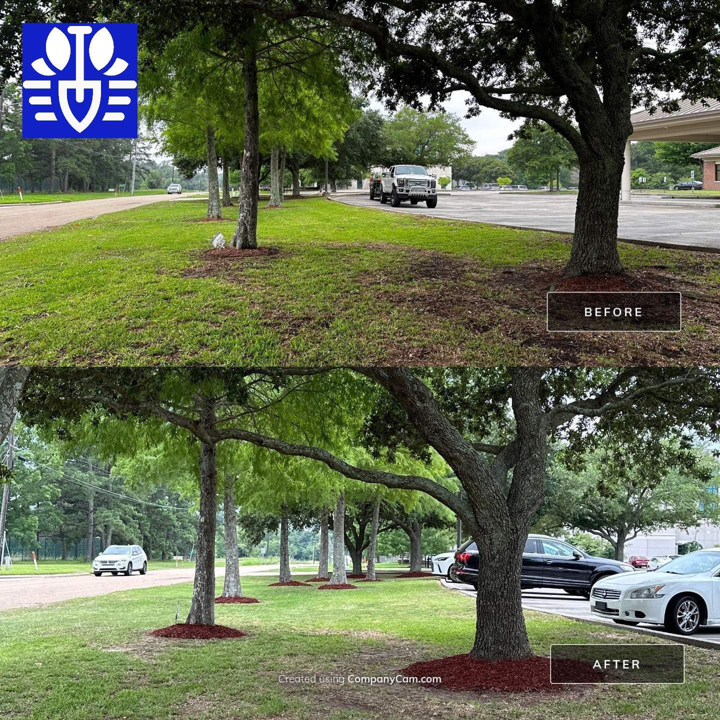 COMMERCIAL: BED CLEAN / MULCH INSTALL  by CutScape, LLC.