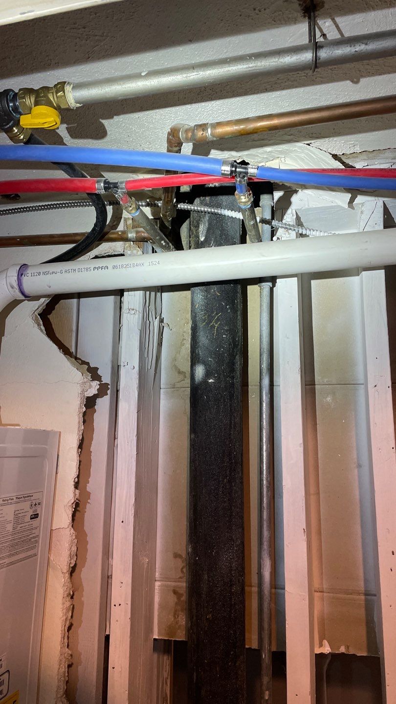 Mold Remediation by Accountable Home Services