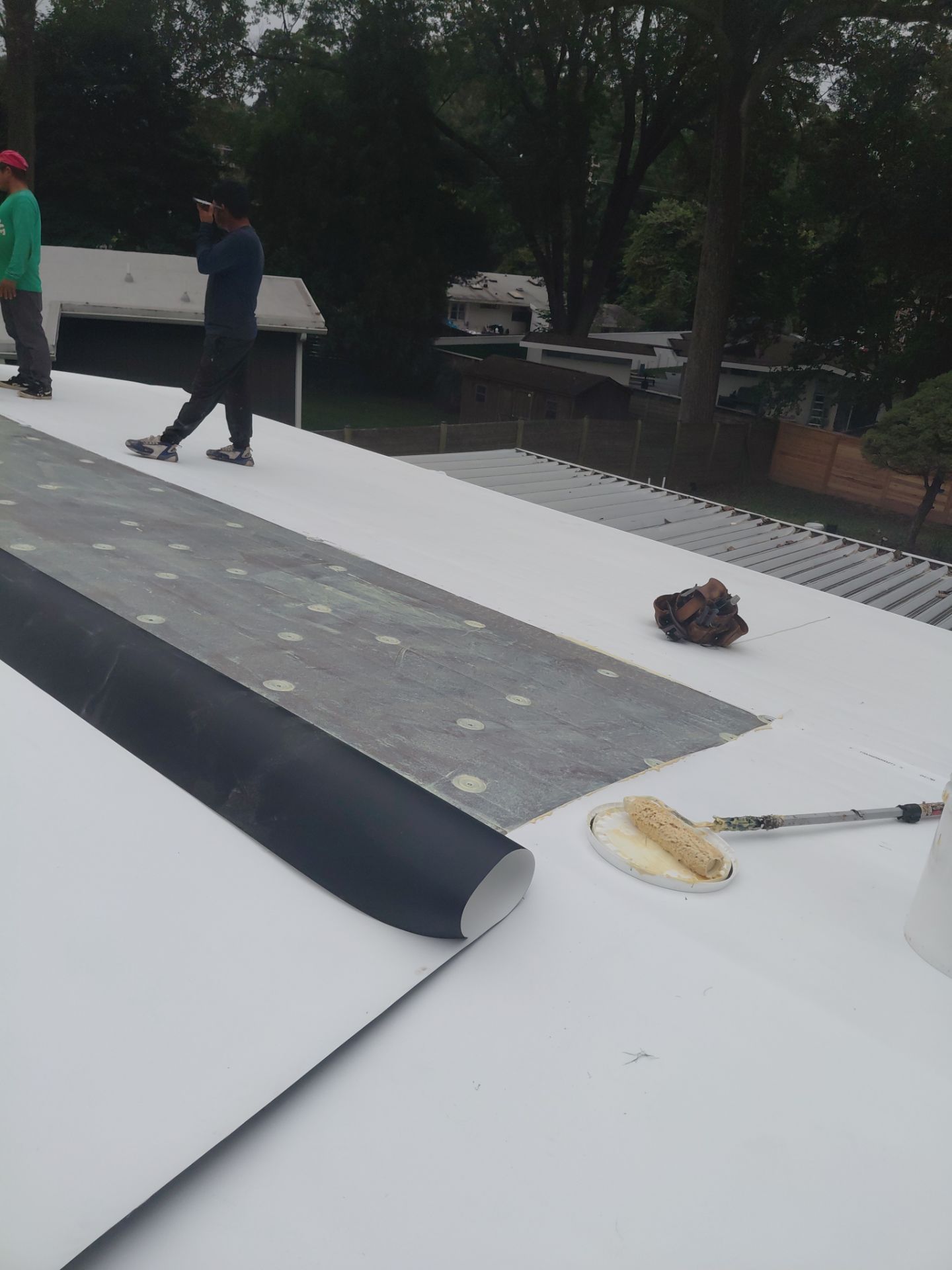 Falls Church :  TPO by RM Banning, Inc.