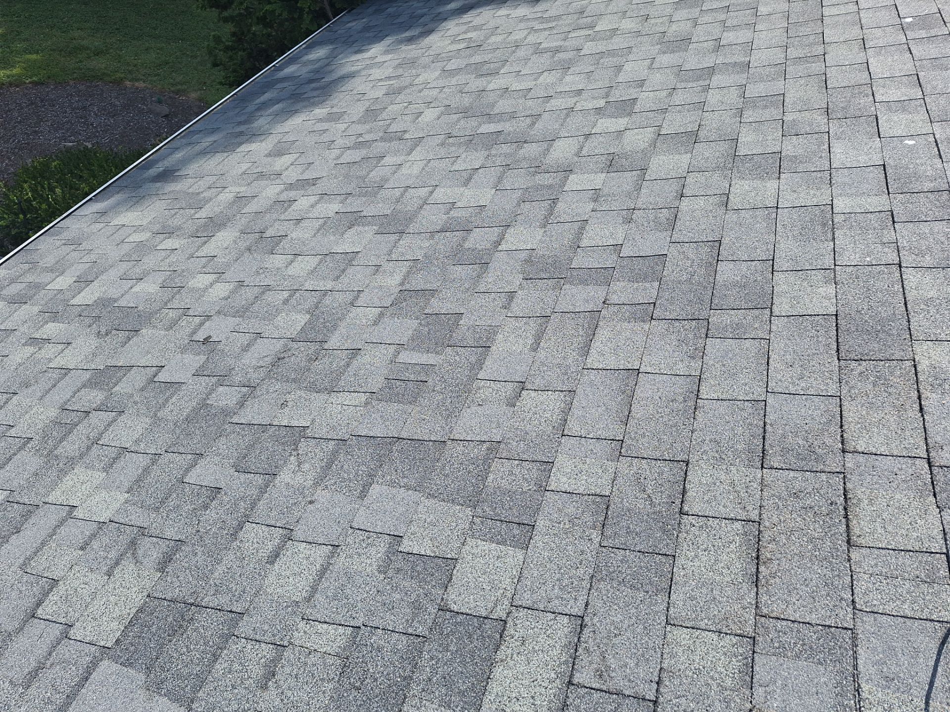 Silver Birch Shingles by Reimagine Roofing