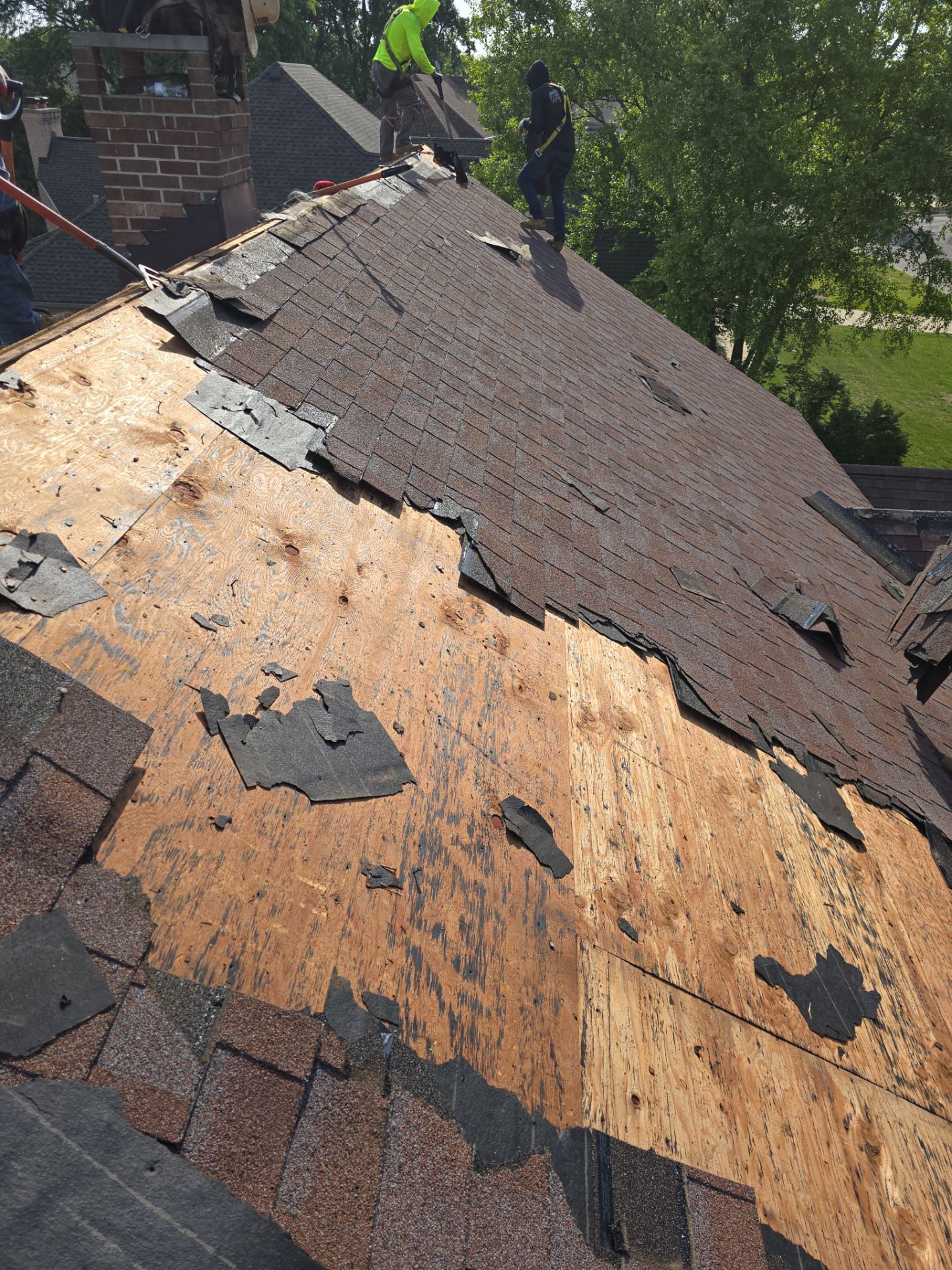 Oak Brook Architectural Shingle Roof Replacement and Velux Skylight Upgrade by Roof One