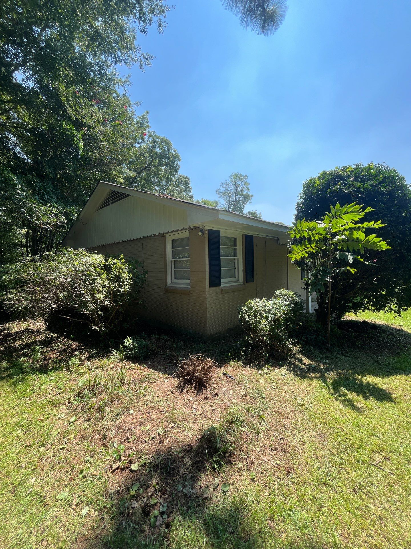 Yard Makeover by College Bros Outdoor services