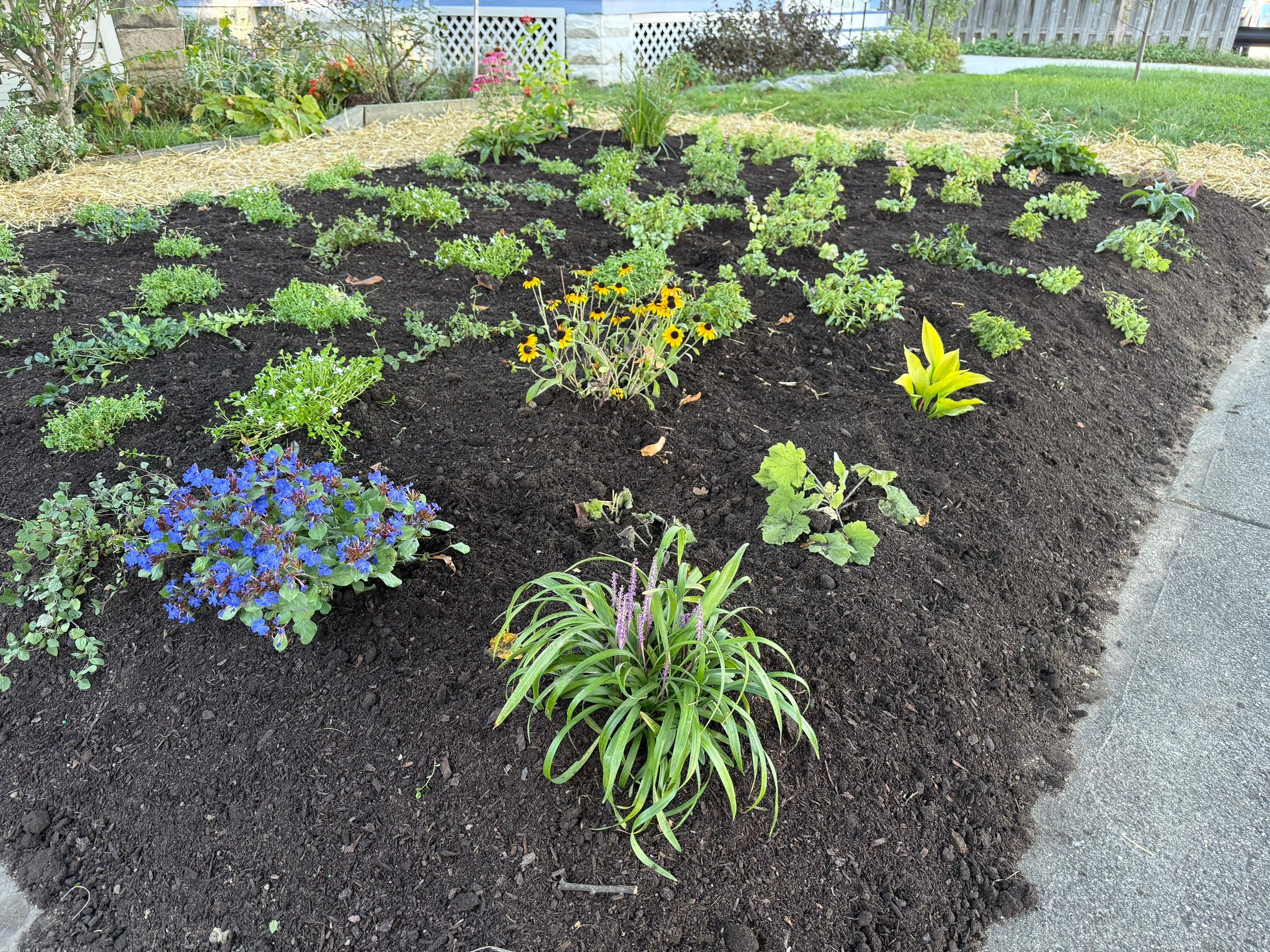 Purple Fence Project by Elm Rose Gardens